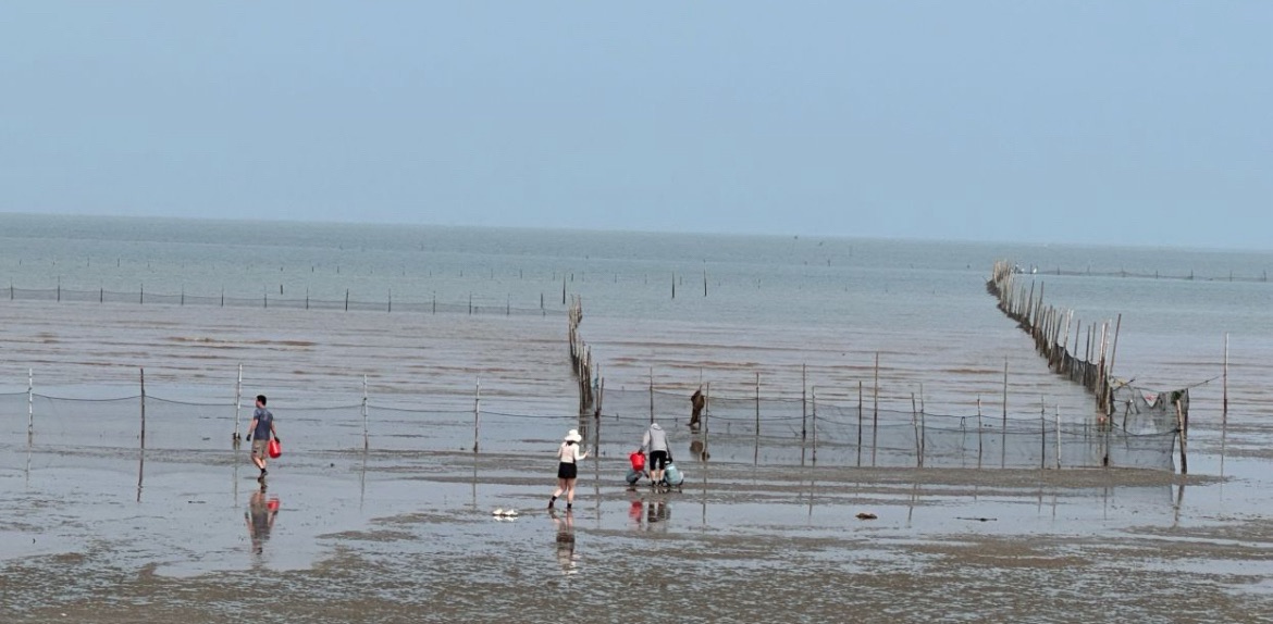 赶海一号旅行图片 1