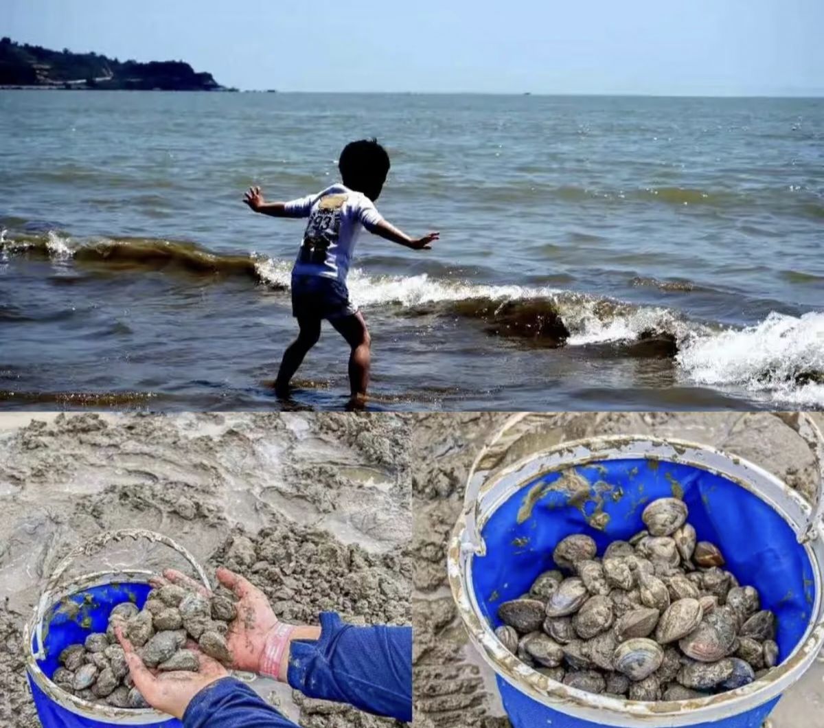 赶海一号旅行图片 3