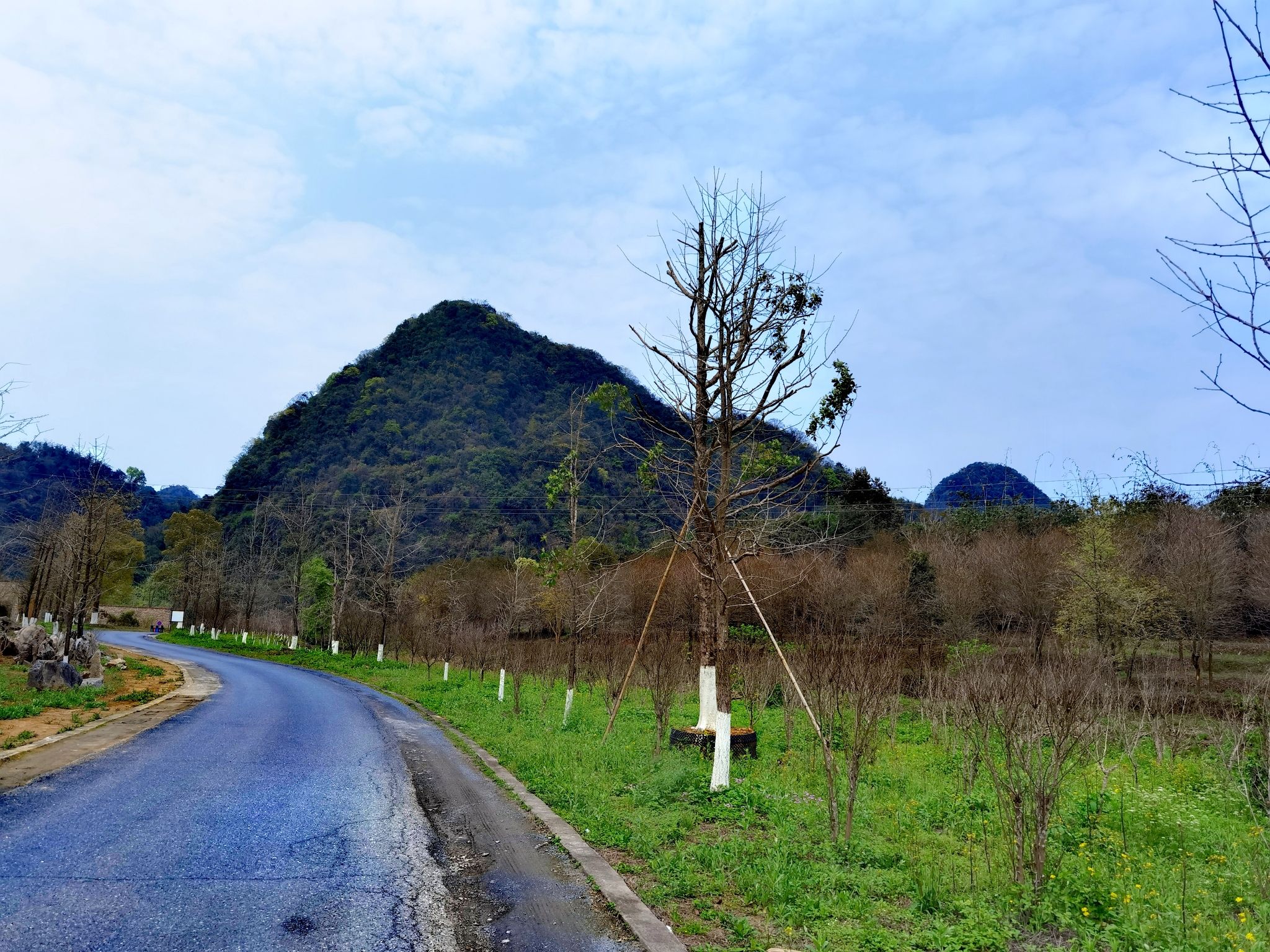 积庆里红茶谷旅行图片 1