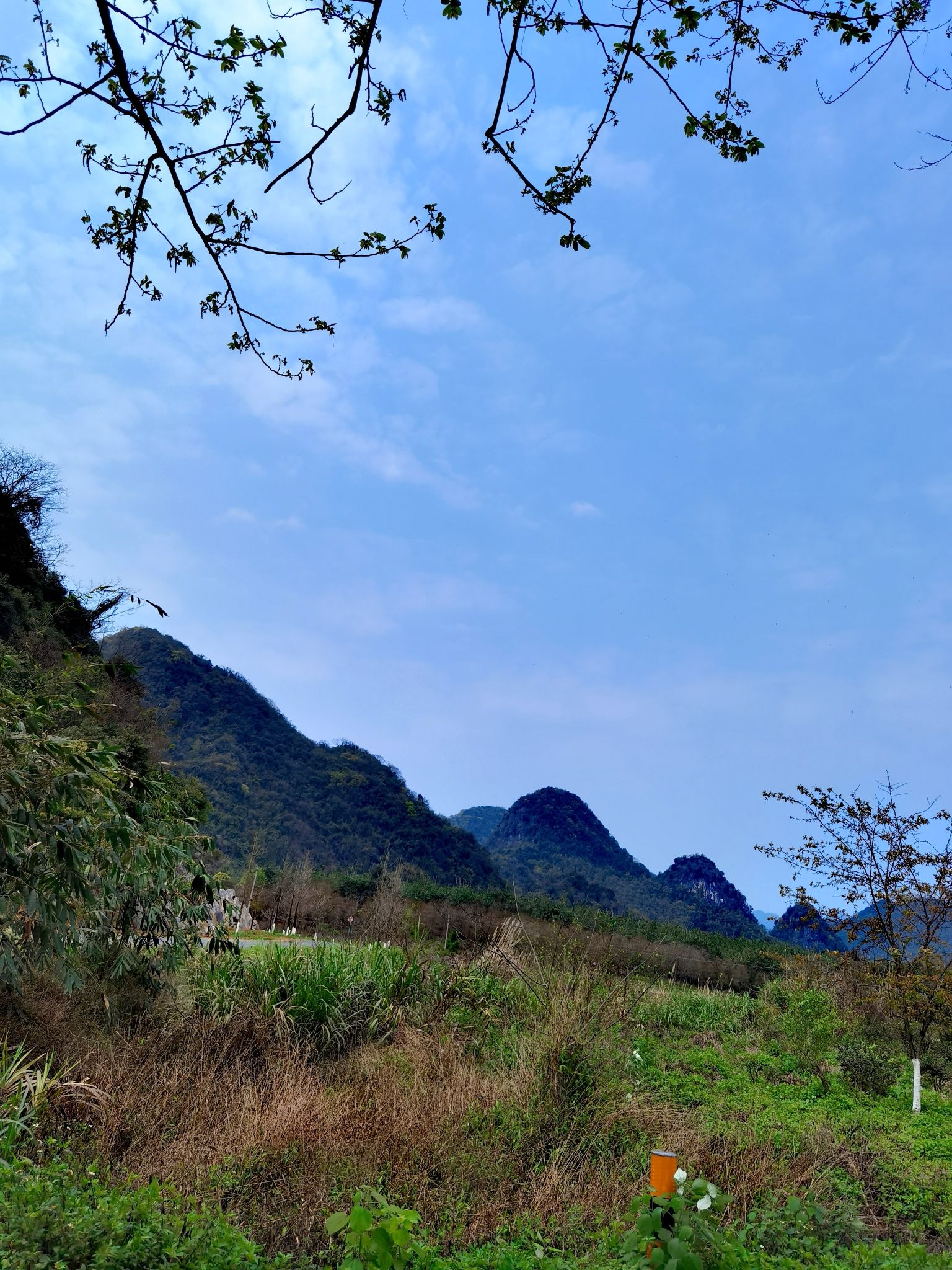 积庆里红茶谷旅行图片 3