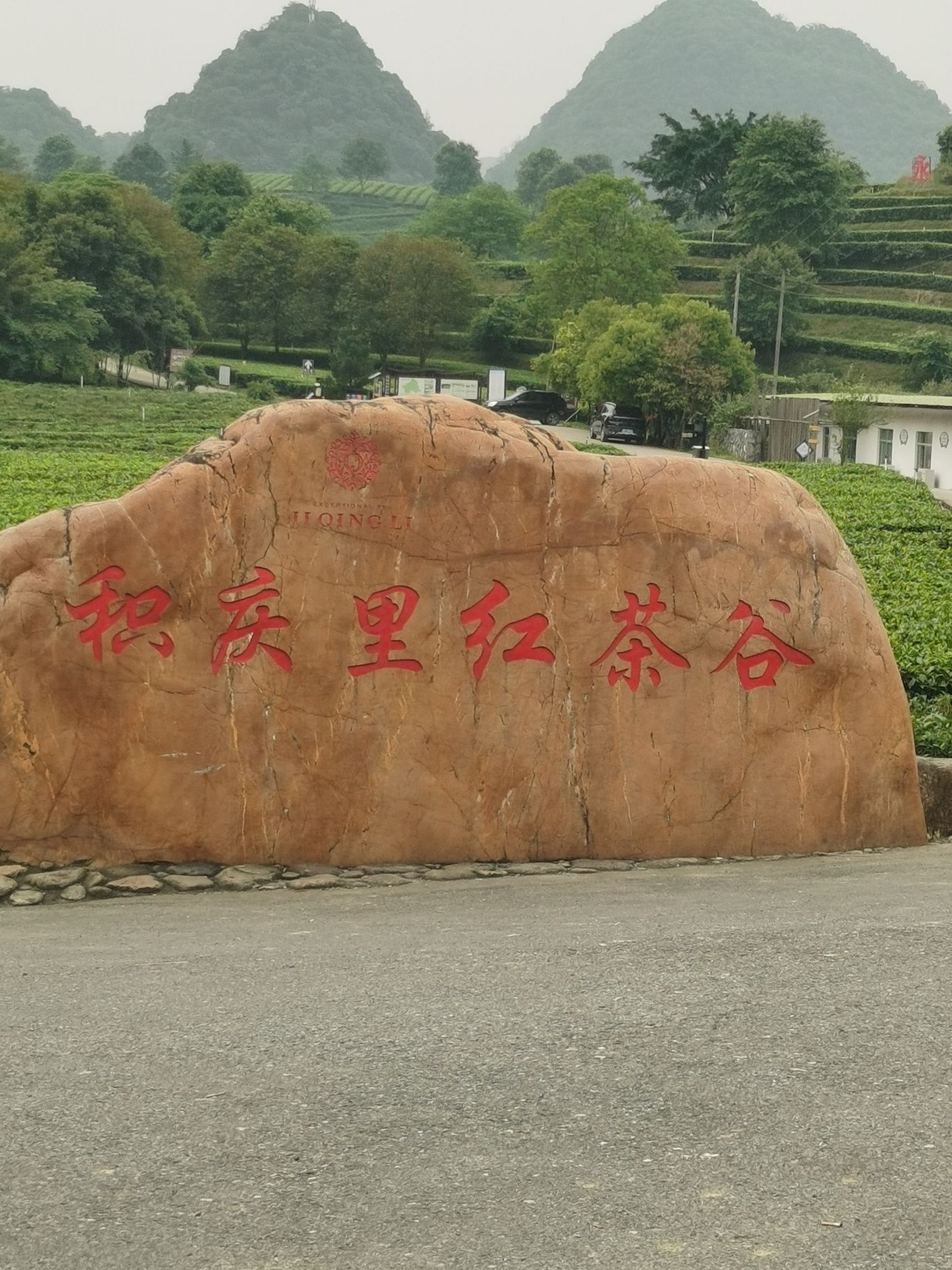 积庆里红茶谷旅行图片 2