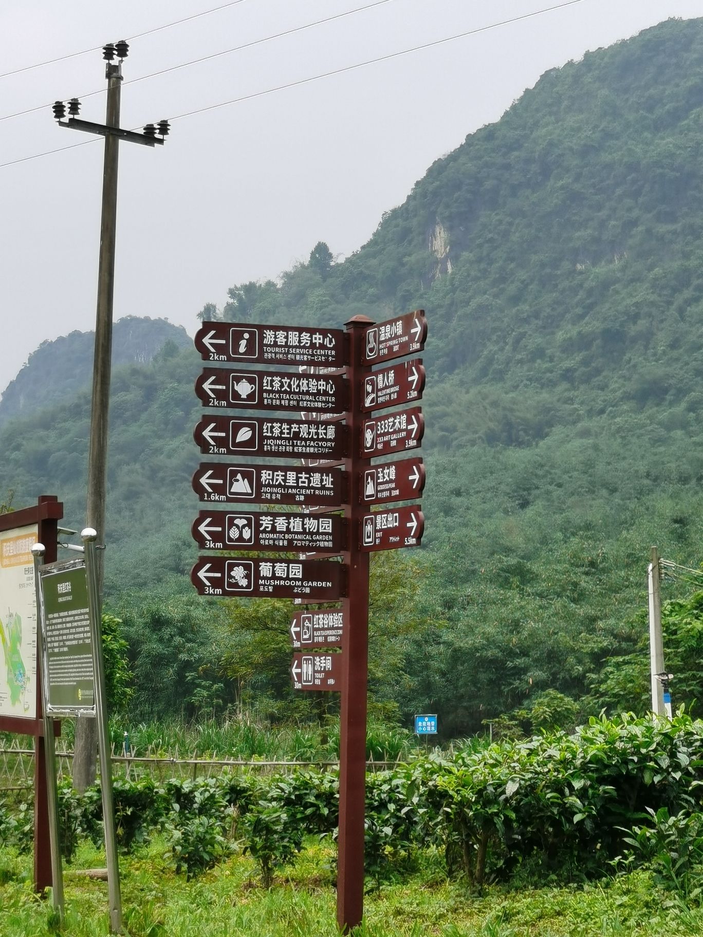 积庆里红茶谷旅行图片 3
