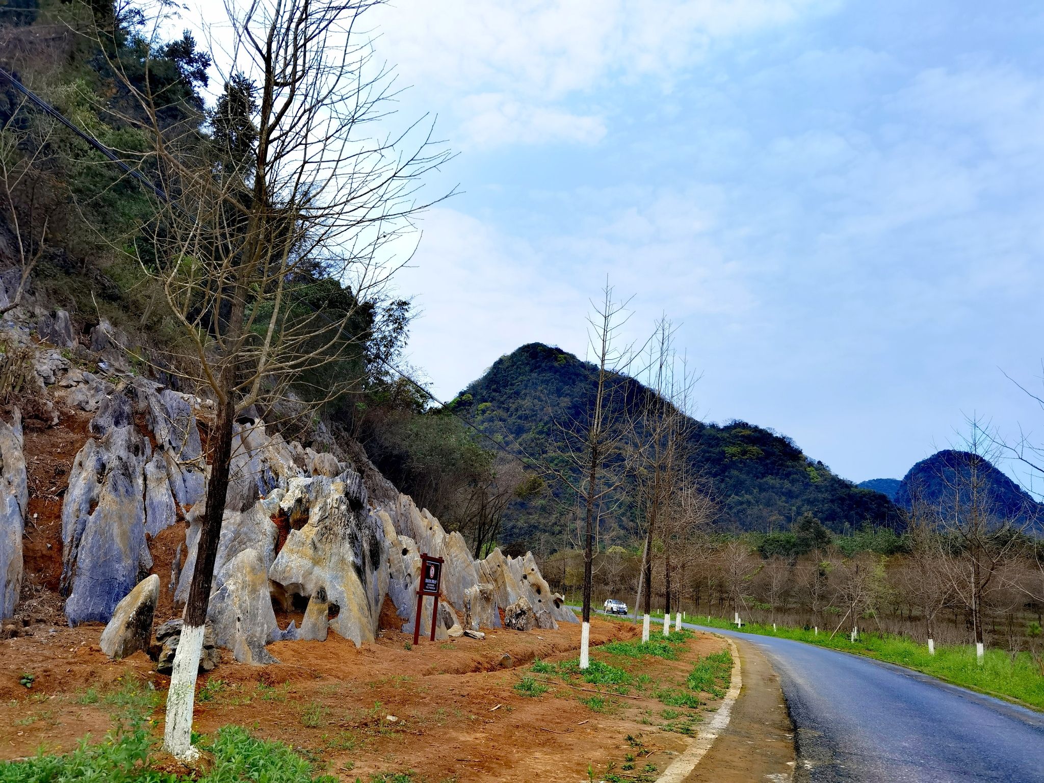 积庆里红茶谷旅行图片 2