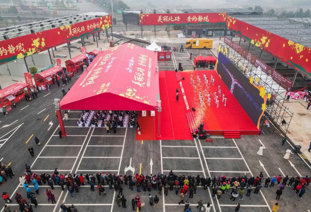 静观腊梅园A区旅行图片 1