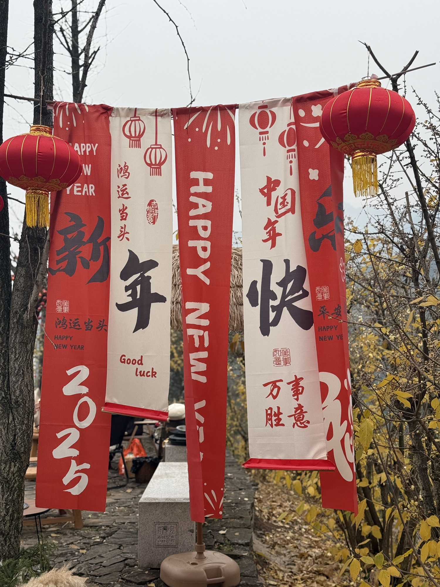静观腊梅园A区旅行图片 2
