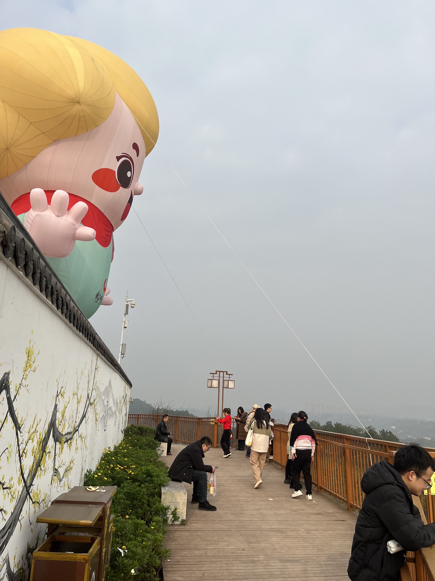 静观腊梅园A区旅行图片 2