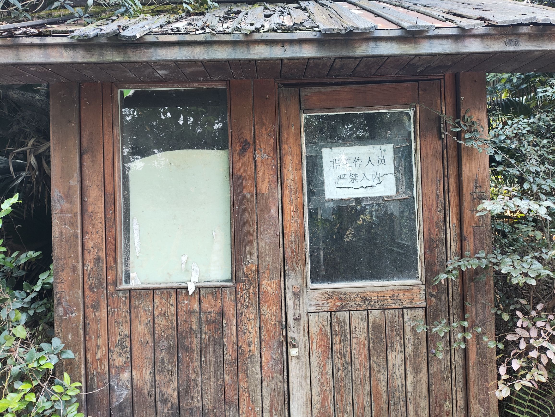 静观腊梅园A区旅行图片 3