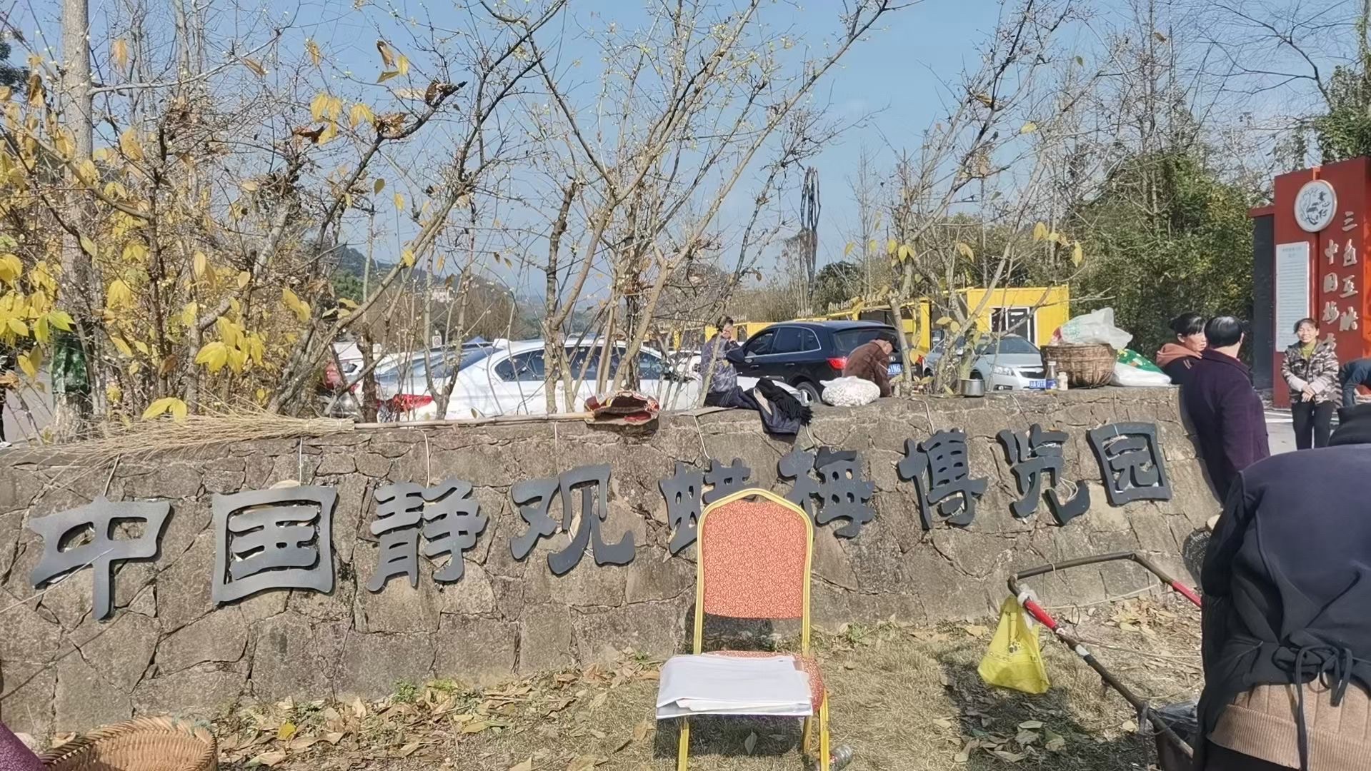 静观腊梅园A区旅行图片 2