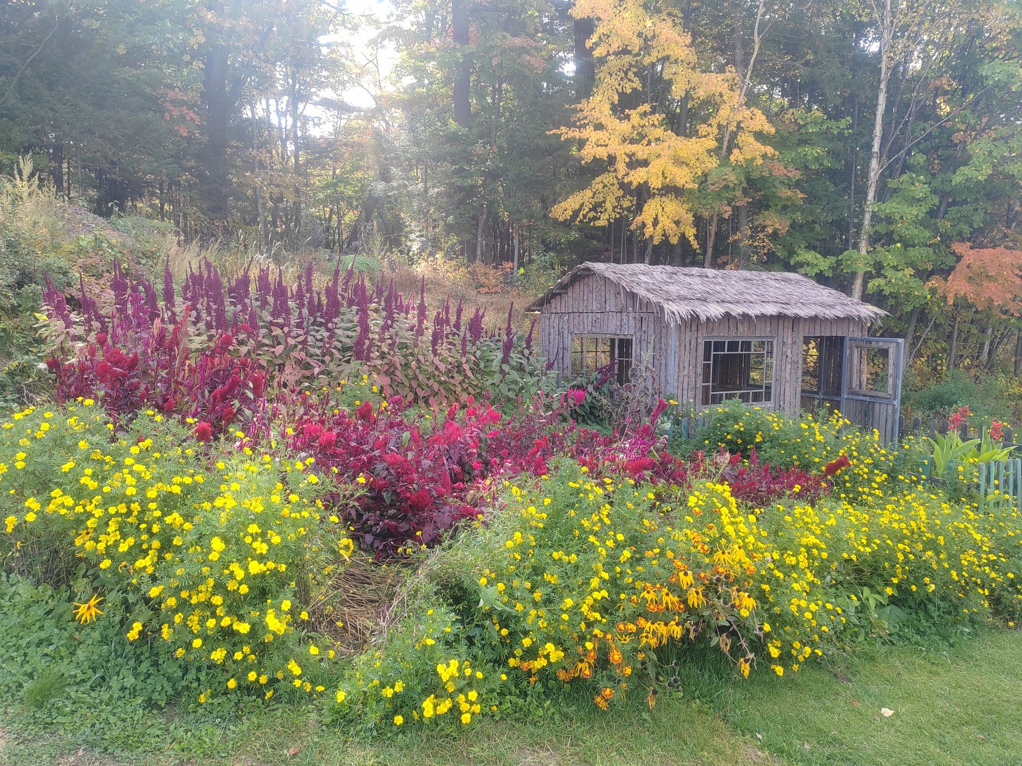 佛库伦湖旅行图片 3