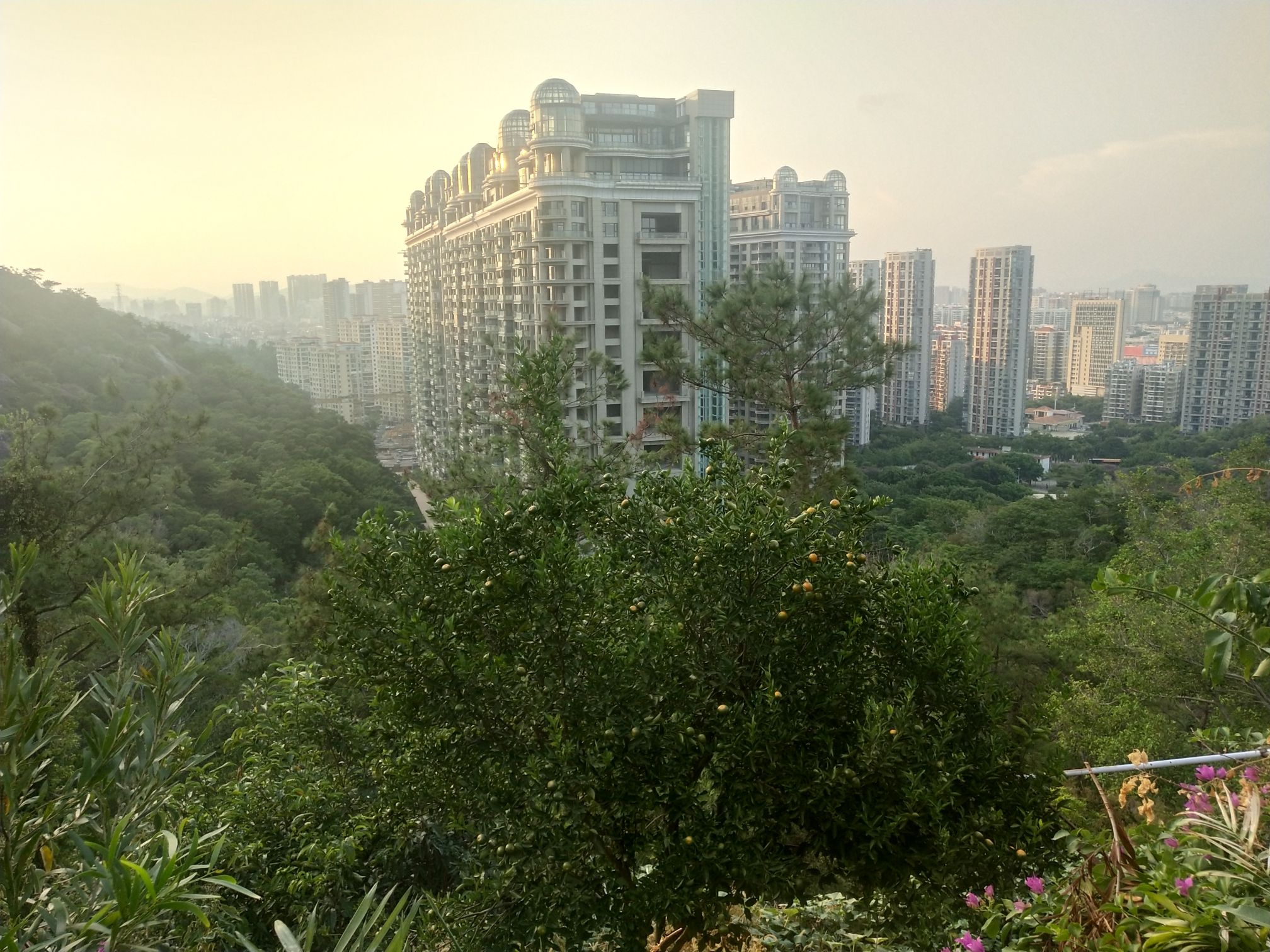 磨心山旅行图片 3