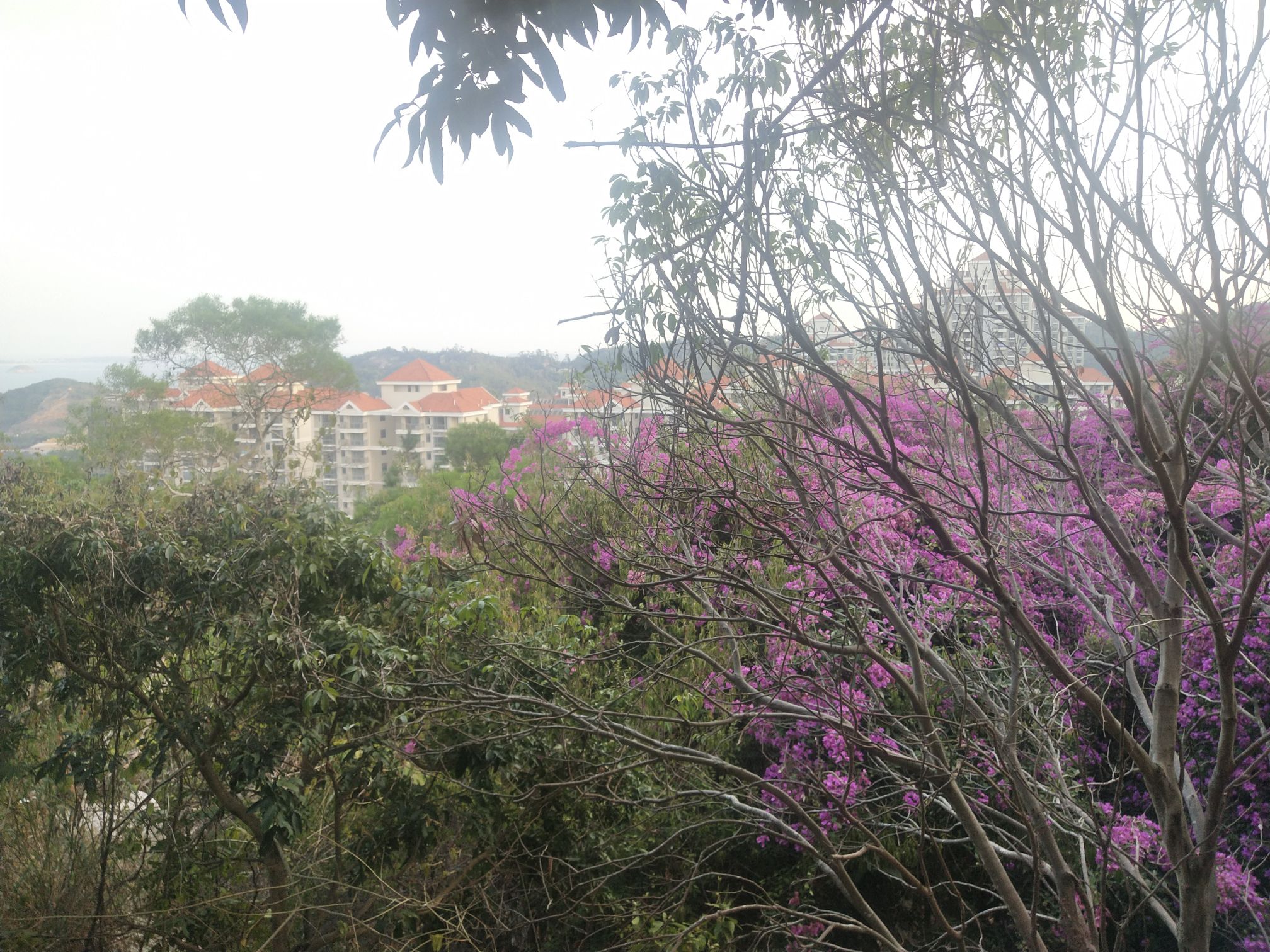 磨心山旅行图片 2