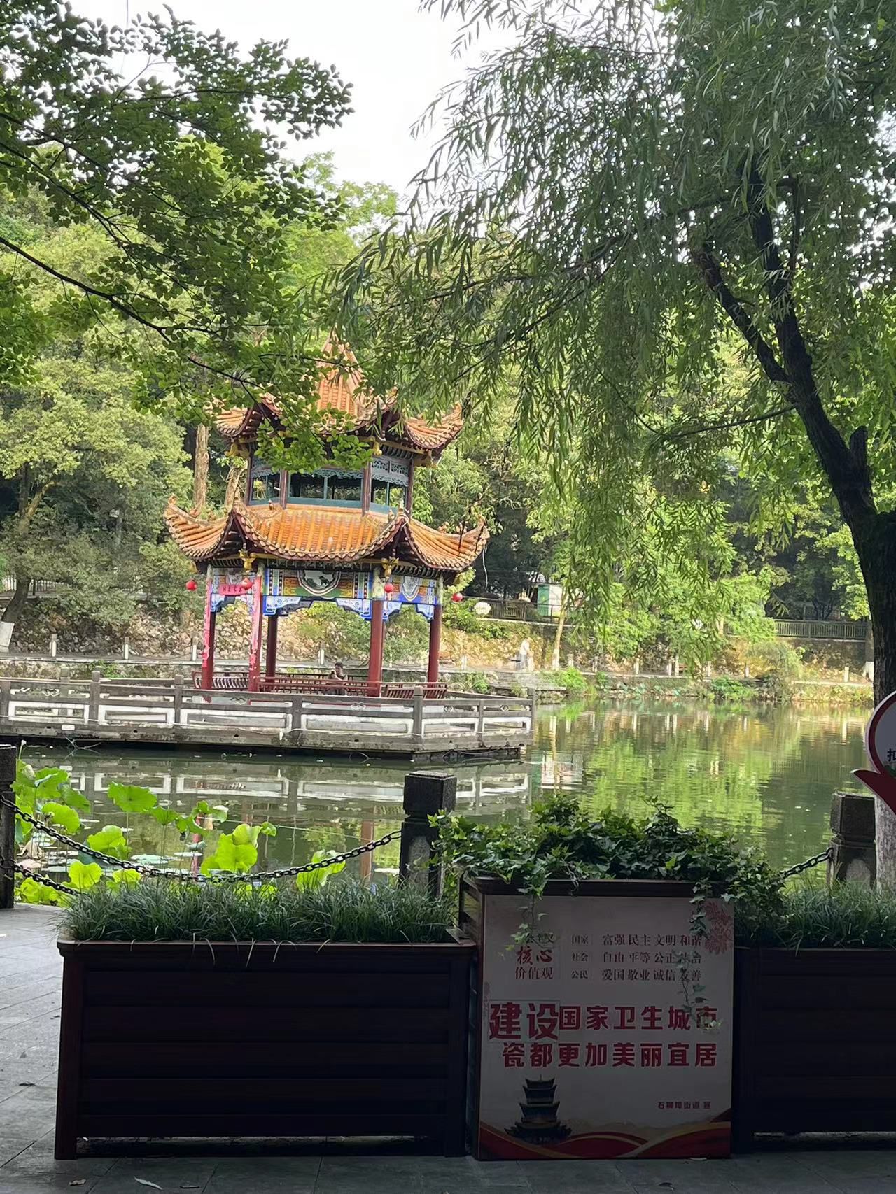 莲花塘旅行图片 3