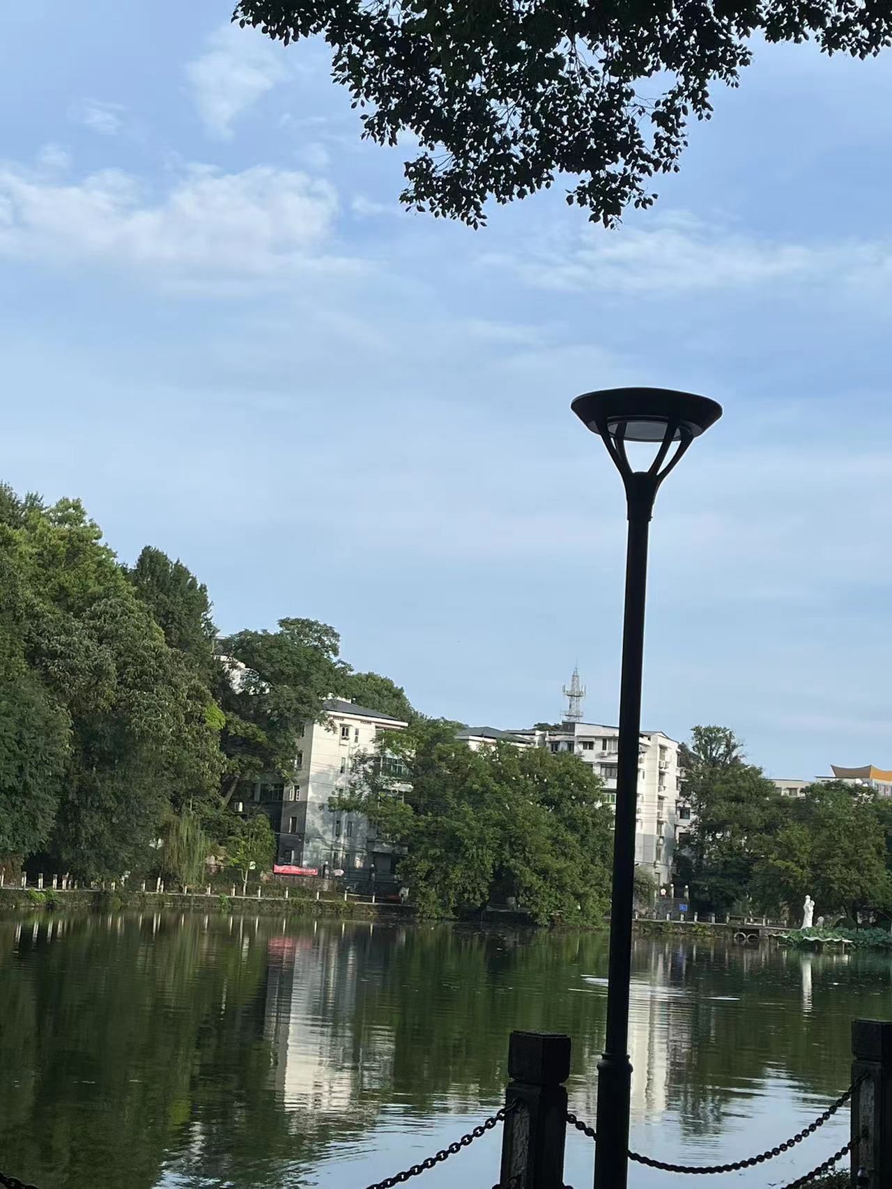 莲花塘旅行图片 1