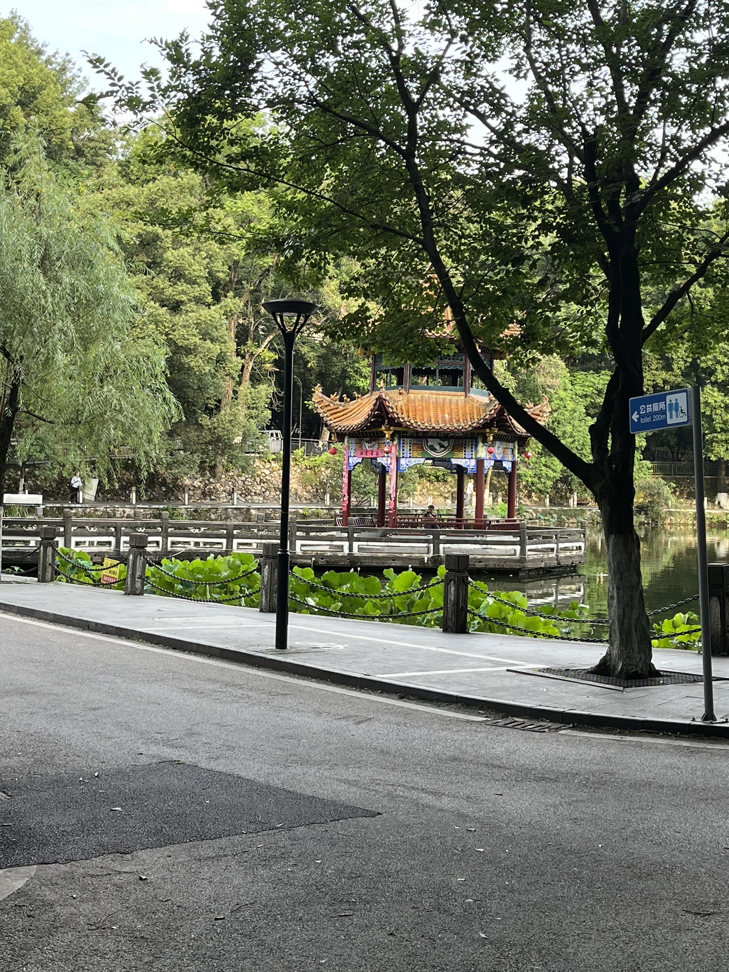 莲花塘旅行图片 3