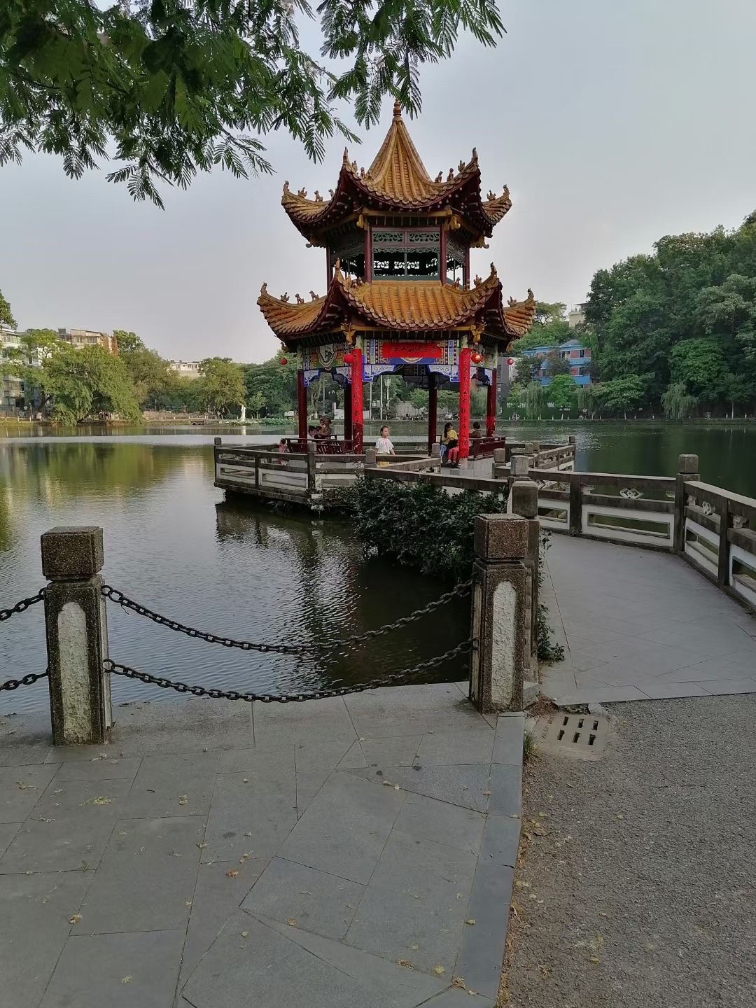 莲花塘旅行图片 2