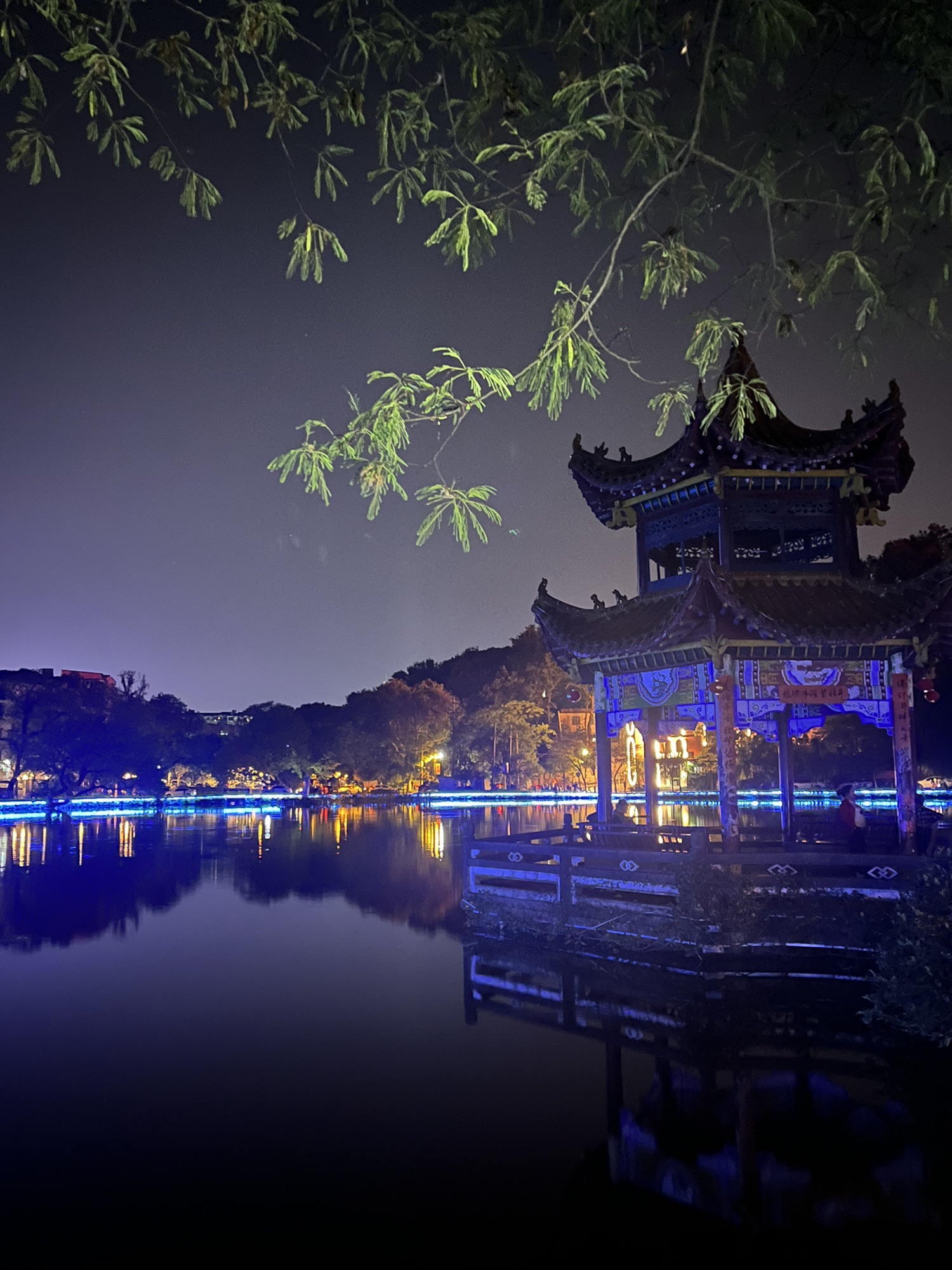 莲花塘旅行图片 1