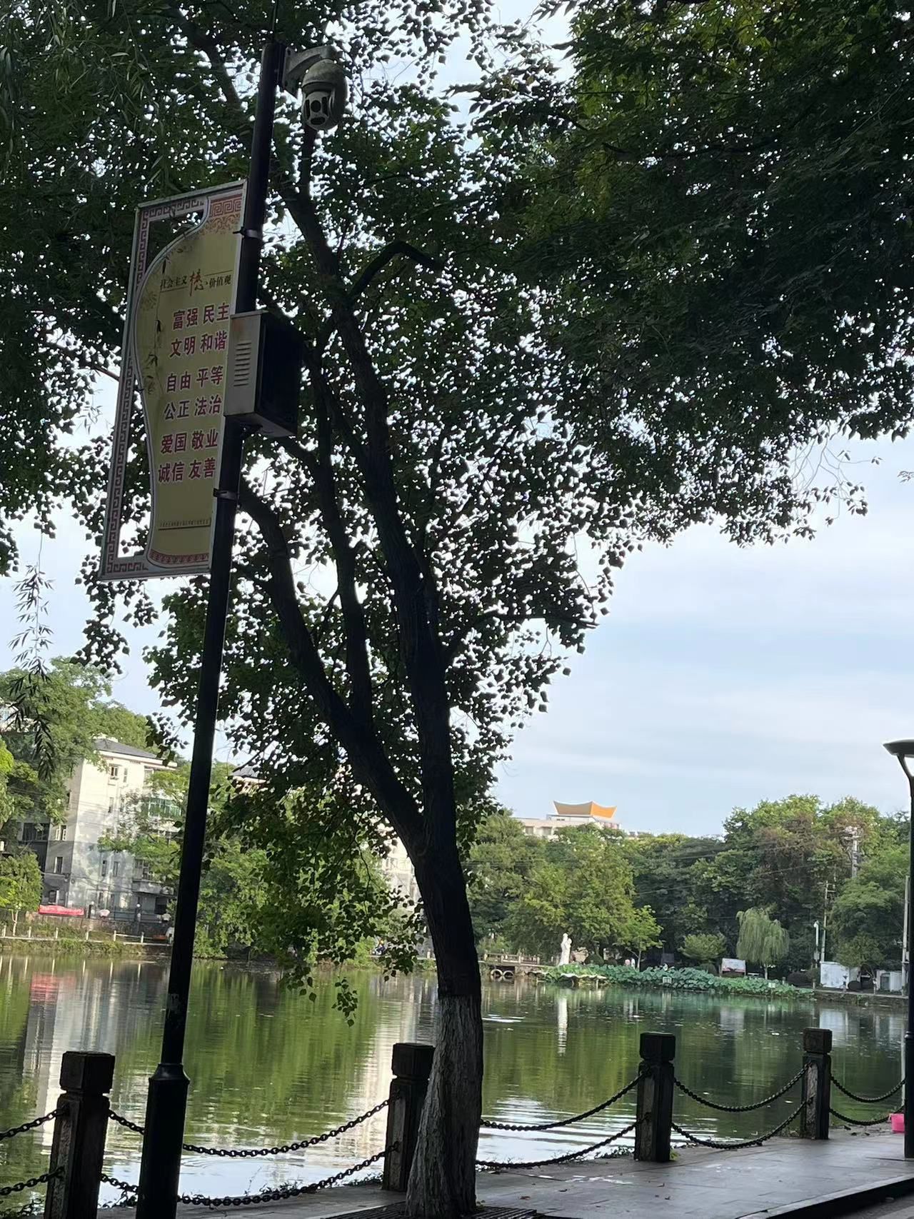 莲花塘旅行图片 2