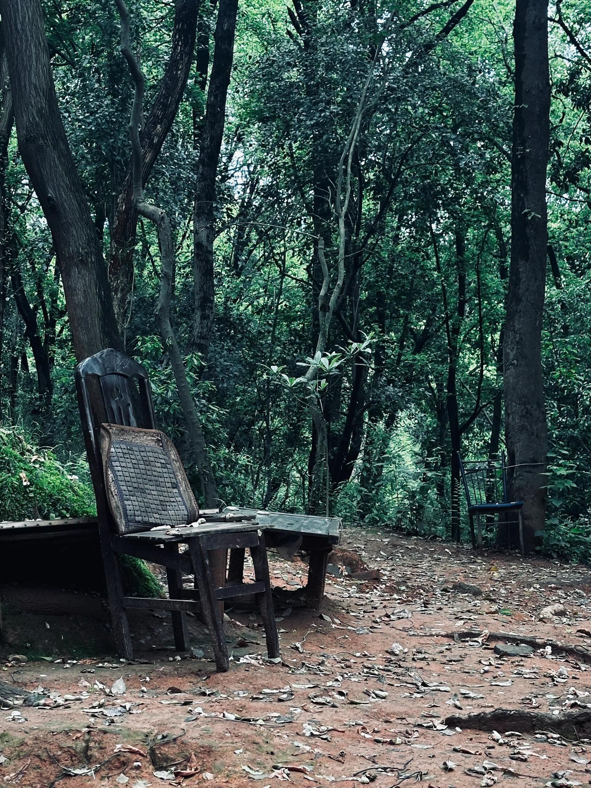 莲花塘旅行图片 3