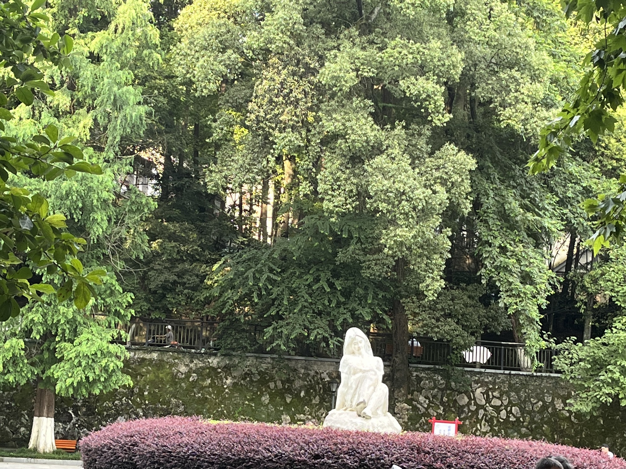 莲花塘旅行图片 1