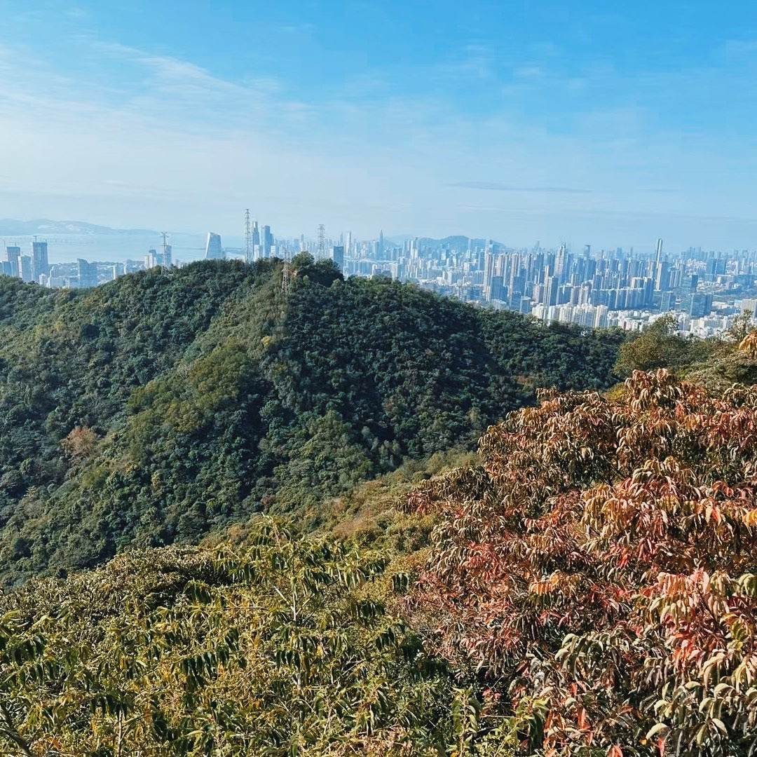 梅语亭旅行图片 3