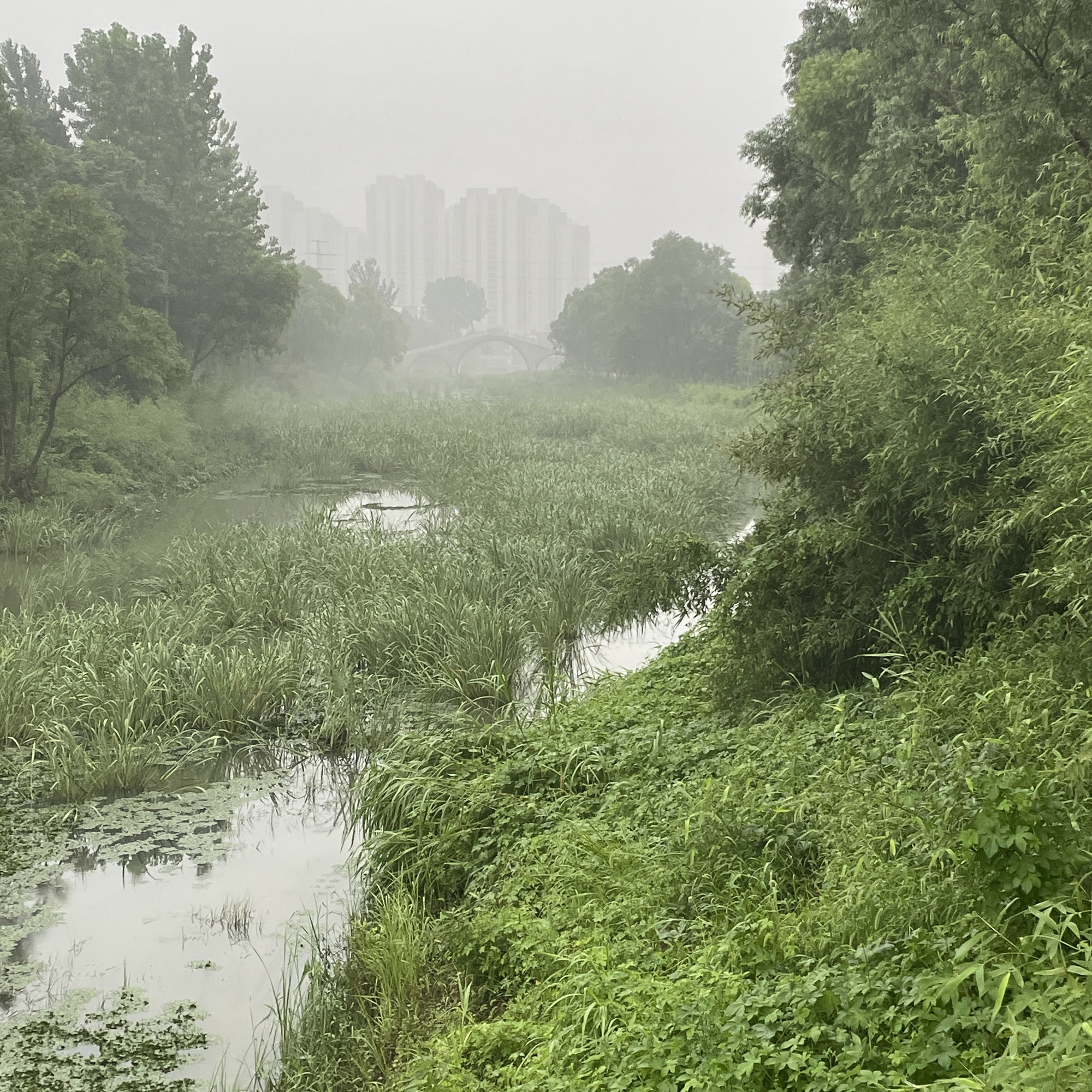 香河公园旅行图片 1