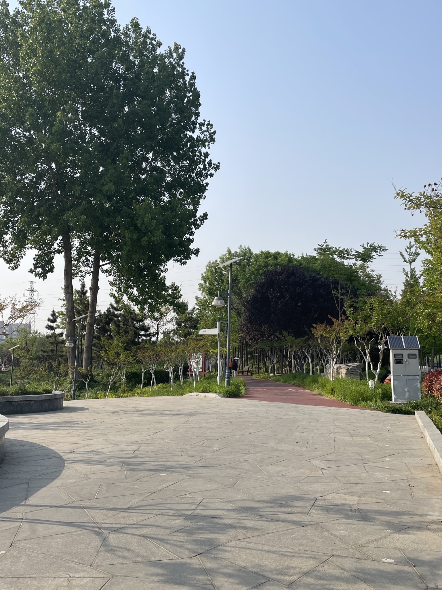 香河公园旅行图片 2