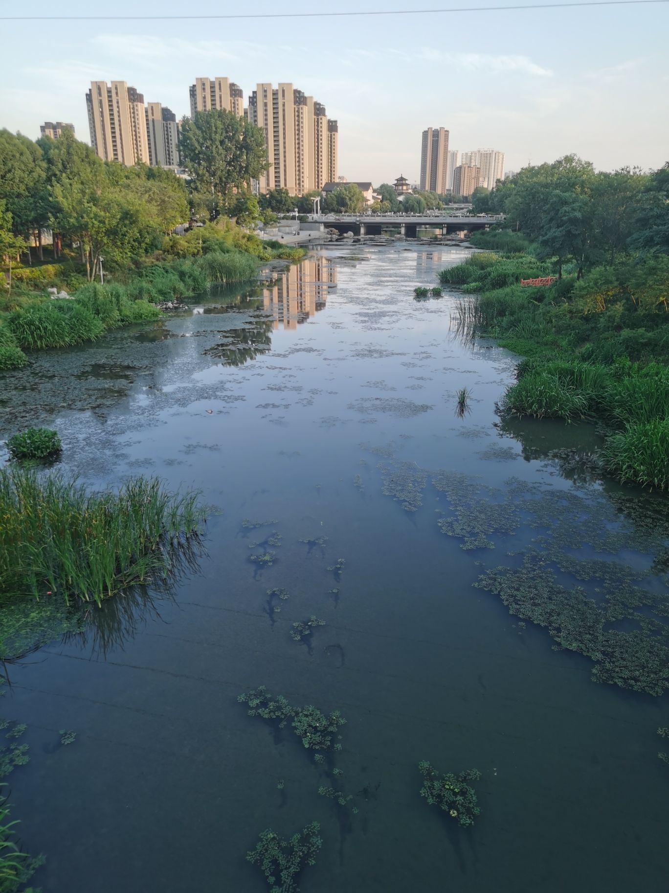 香河公园