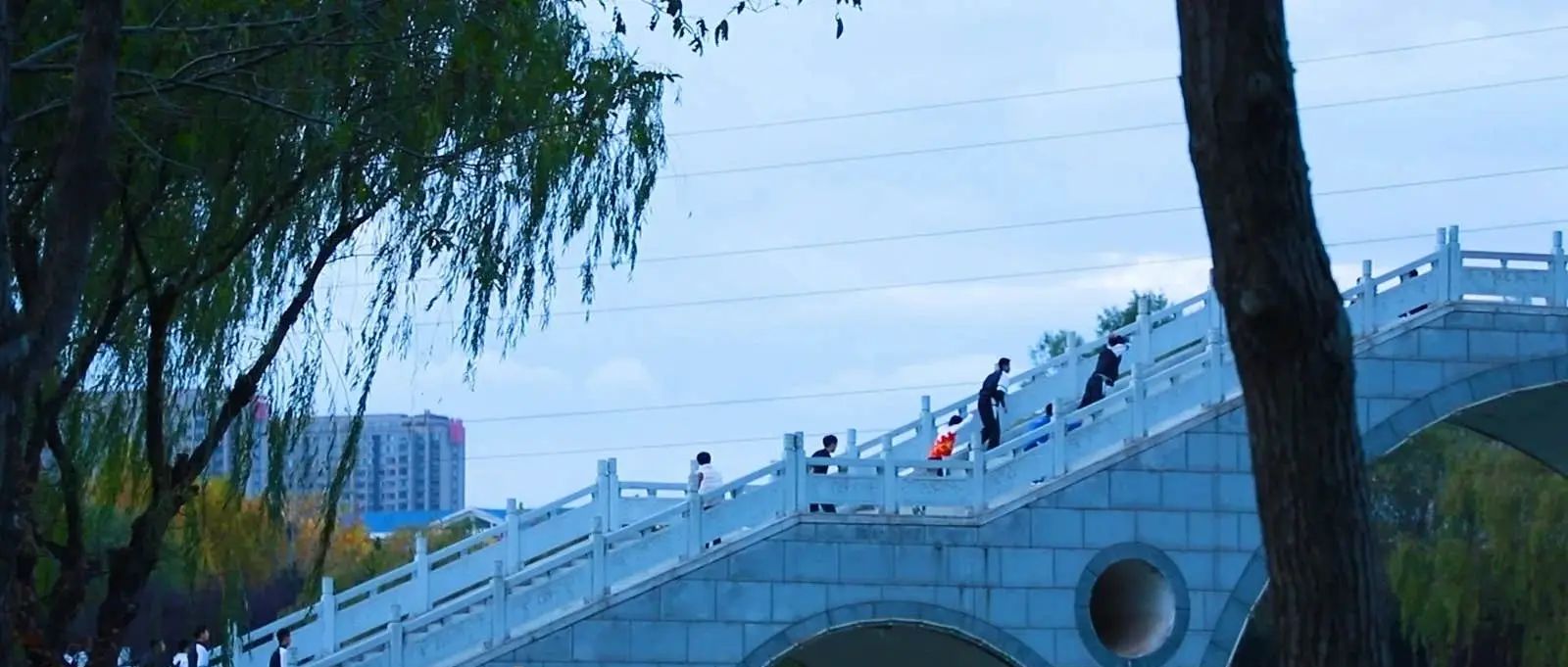 香河公园旅行图片 1