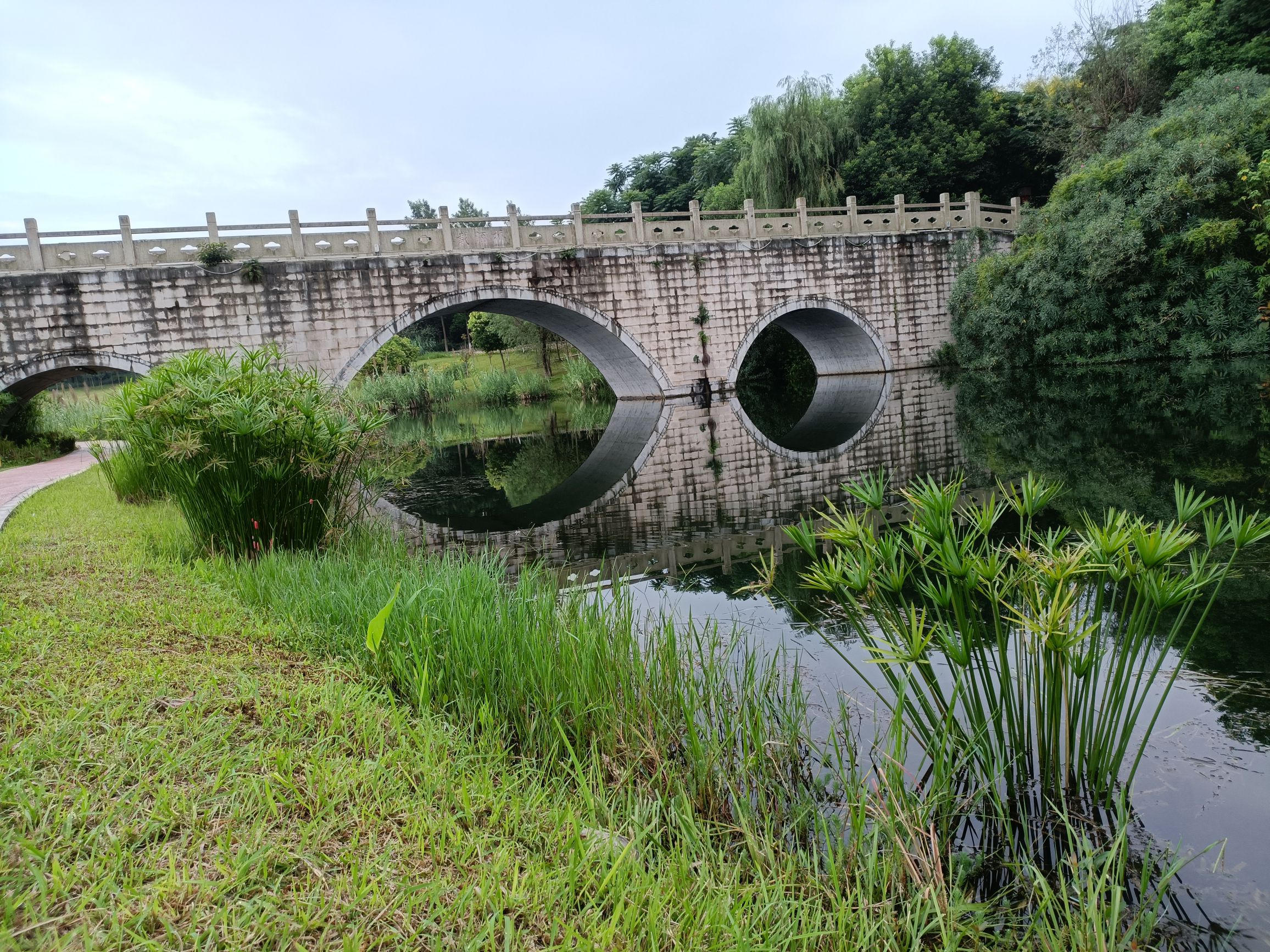 东坡城市湿地公园旅行图片 2
