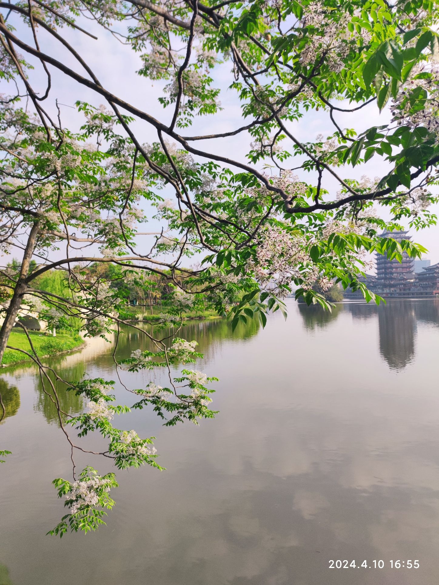 东坡城市湿地公园旅行图片 3