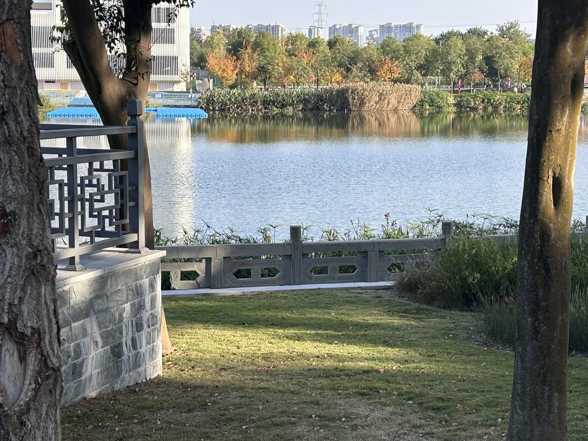 东坡城市湿地公园旅行图片 3