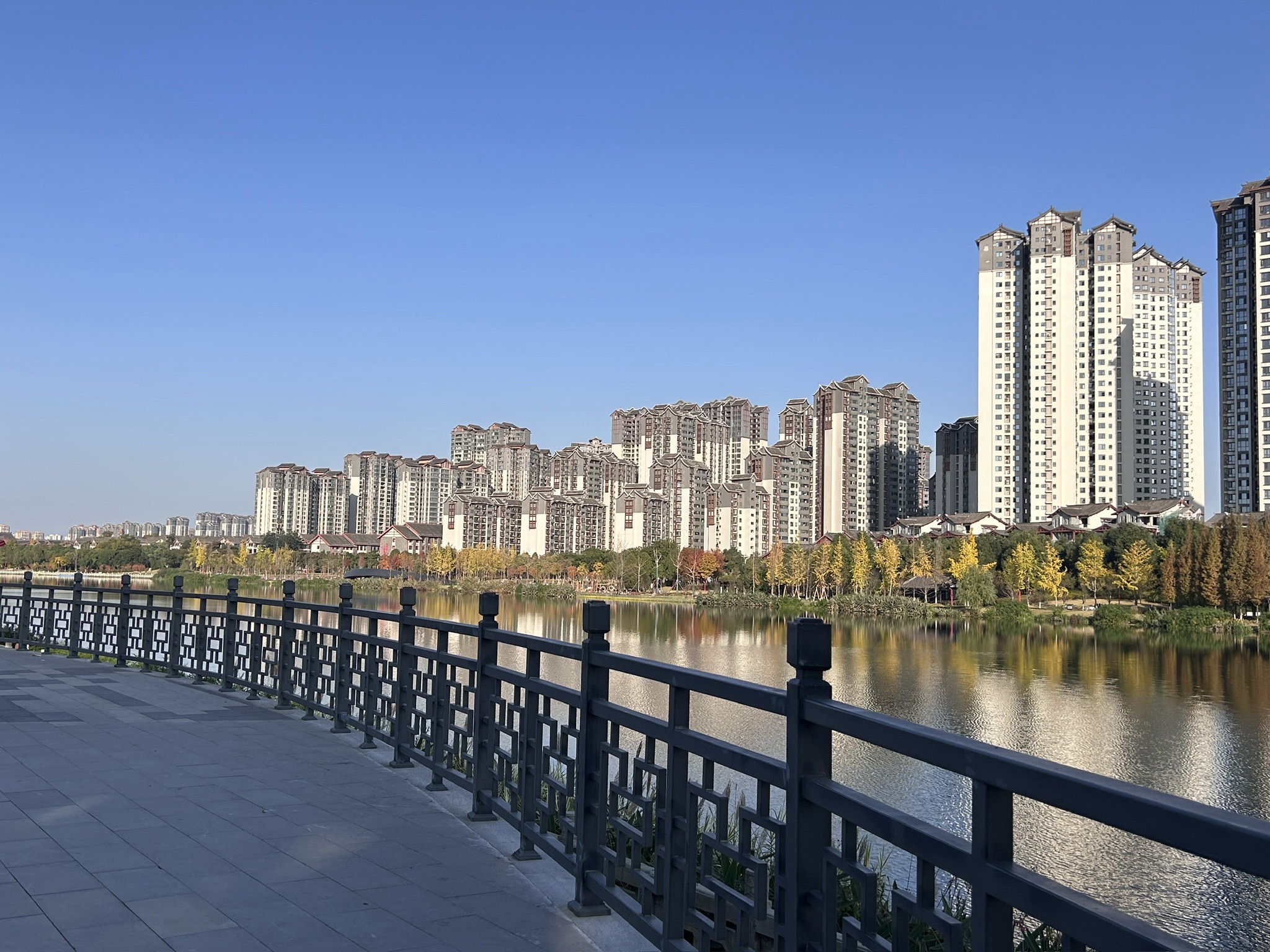 东坡城市湿地公园旅行图片 2