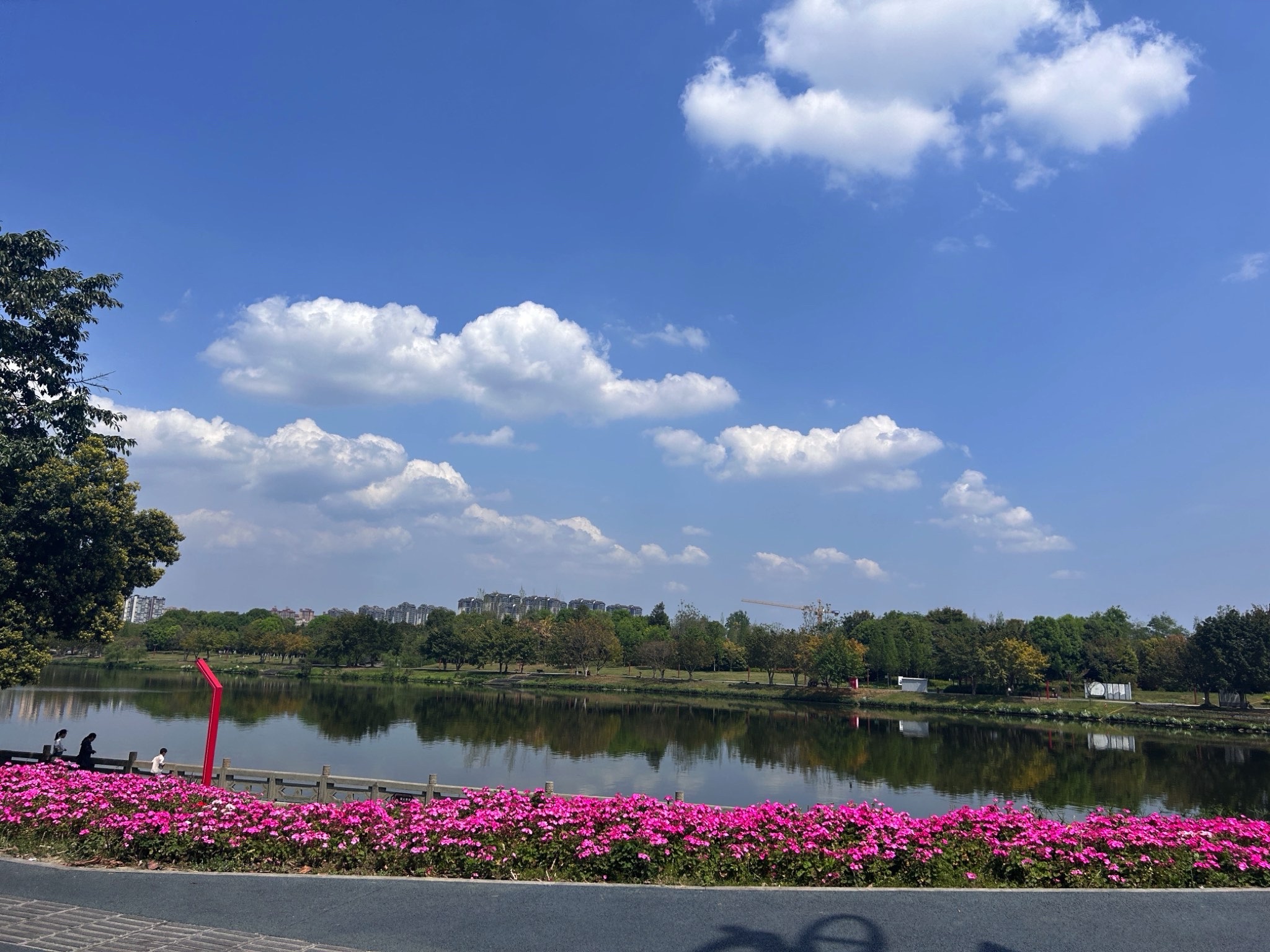 东坡城市湿地公园旅行图片 1