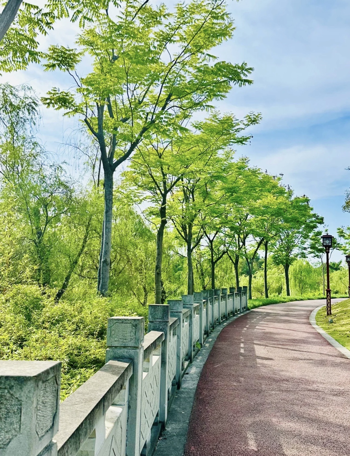 东坡城市湿地公园