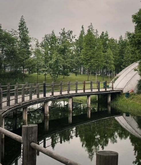 东坡城市湿地公园旅行图片 3