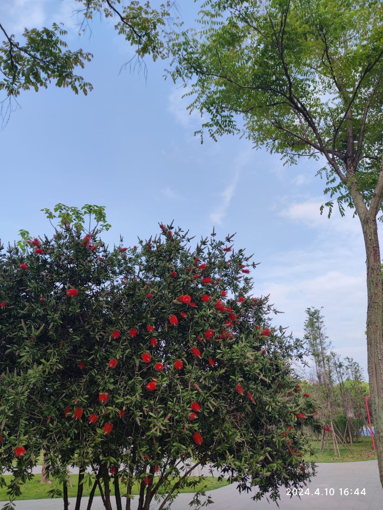 东坡城市湿地公园旅行图片 2