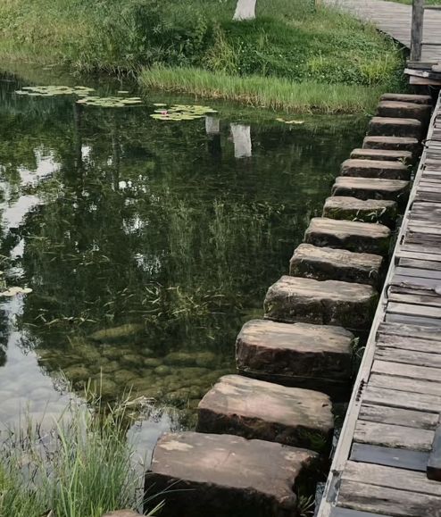 东坡城市湿地公园旅行图片 2