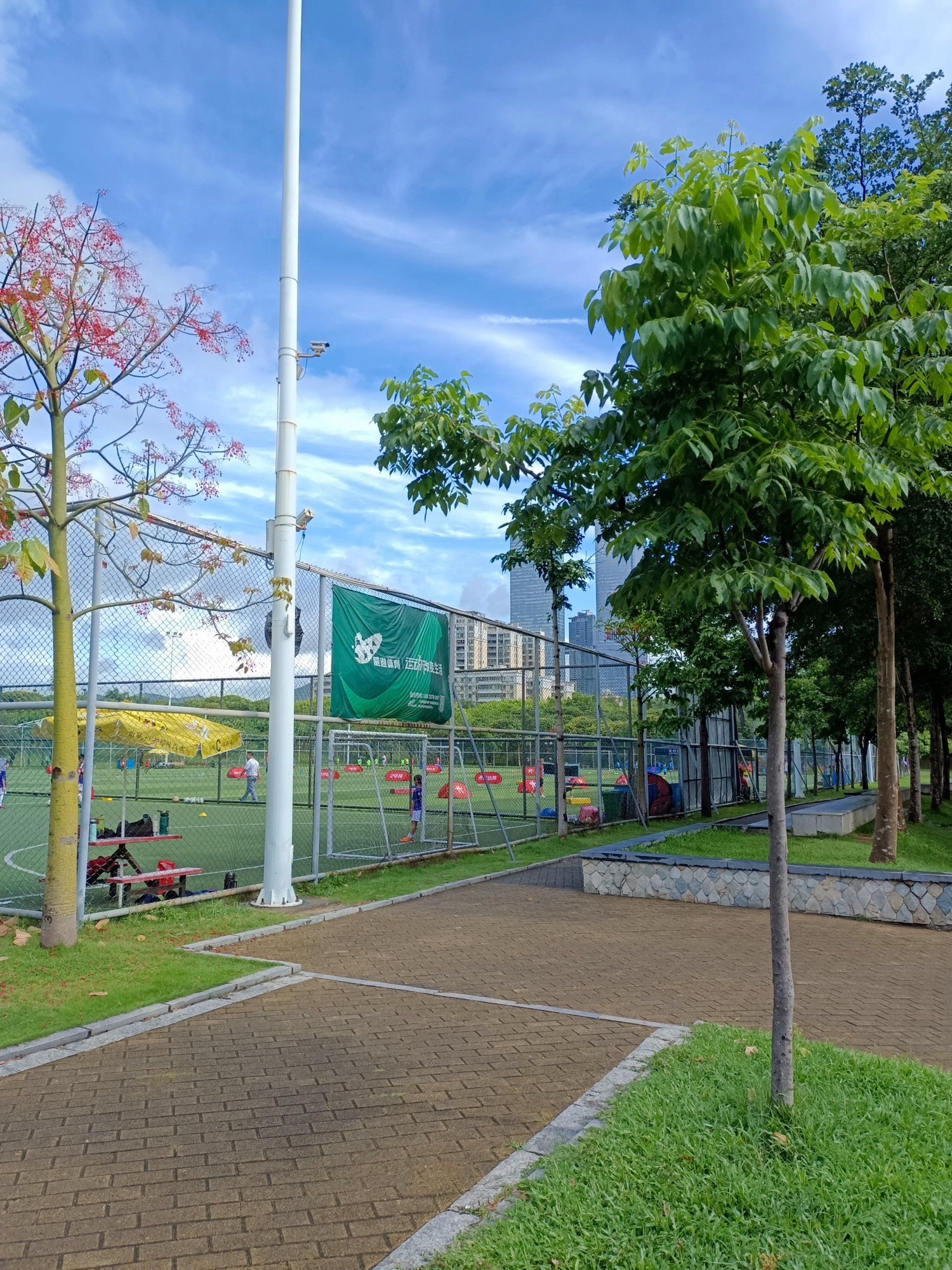 场地封面-中心公园足球场