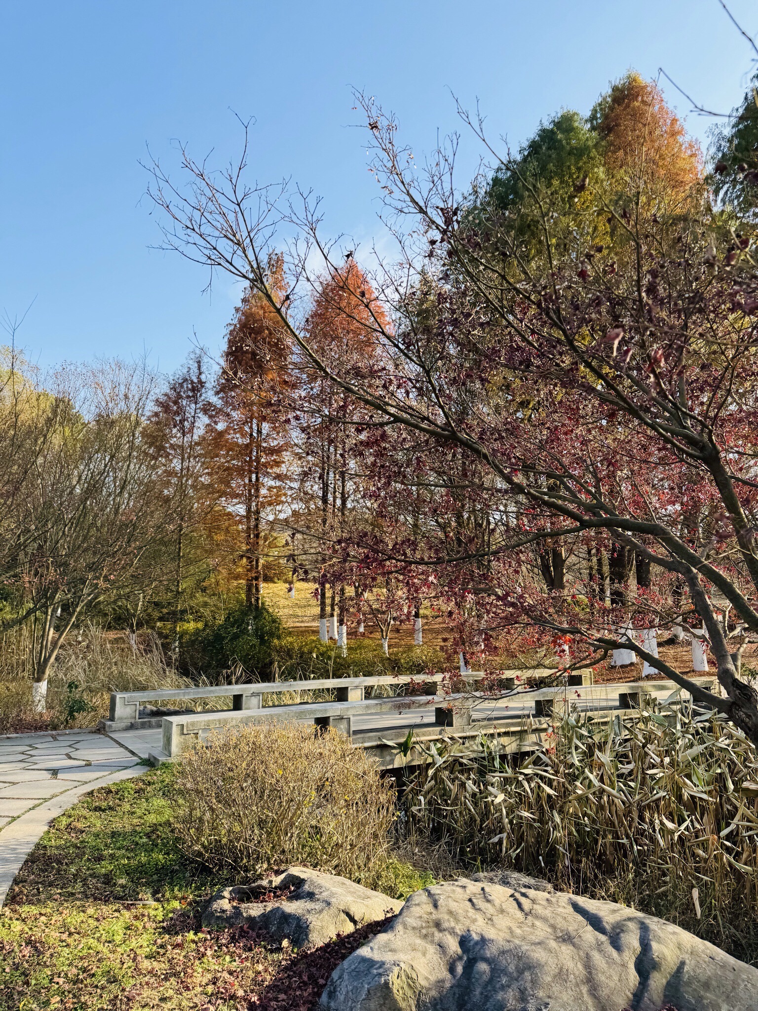南山莲花洞景区旅行图片 3