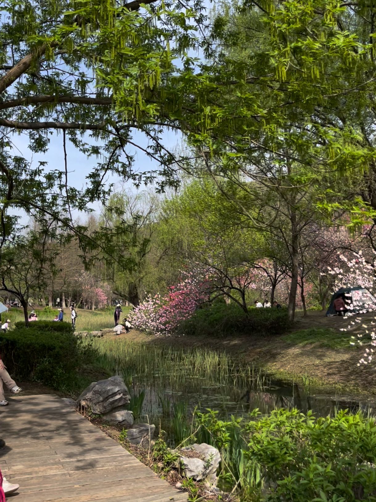 南山莲花洞景区旅行图片 3