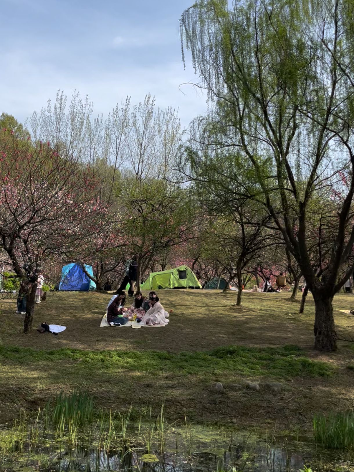 南山莲花洞景区旅行图片 2