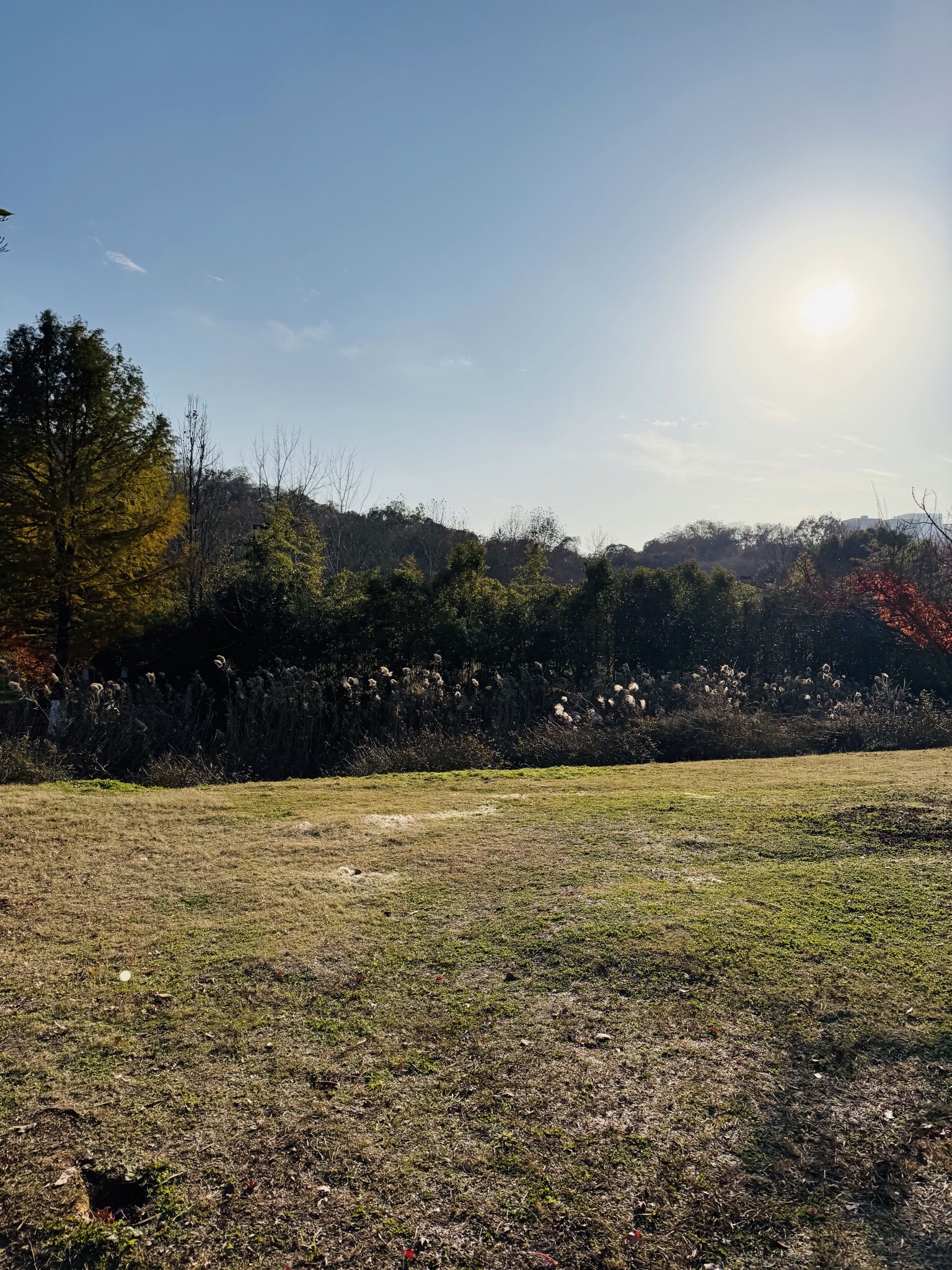 南山莲花洞景区旅行图片 2