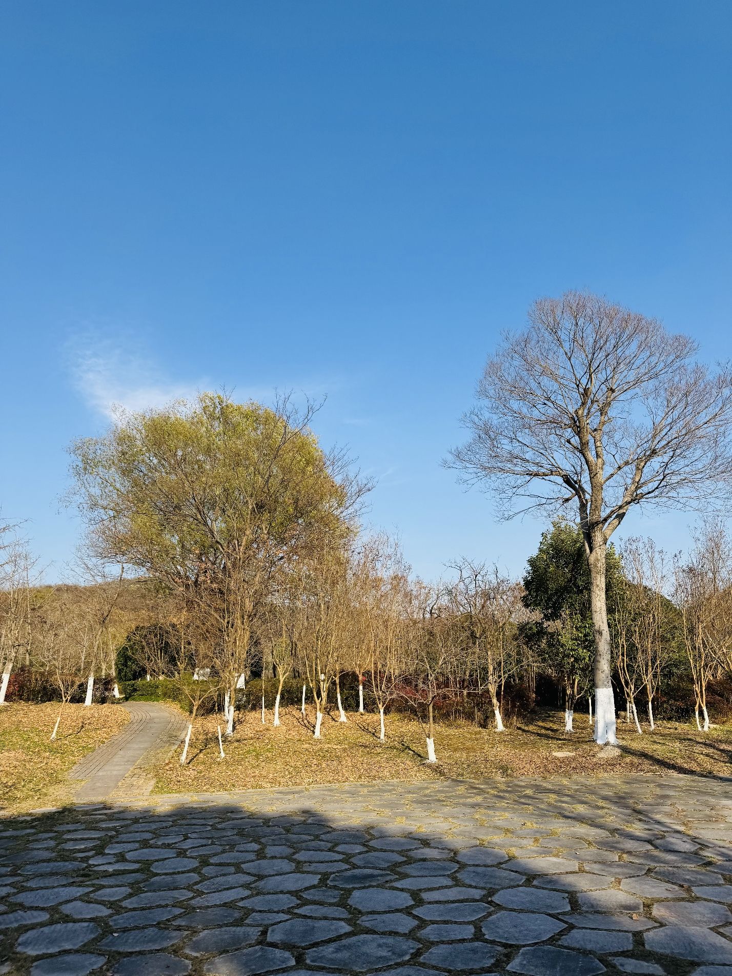 南山莲花洞景区旅行图片 1