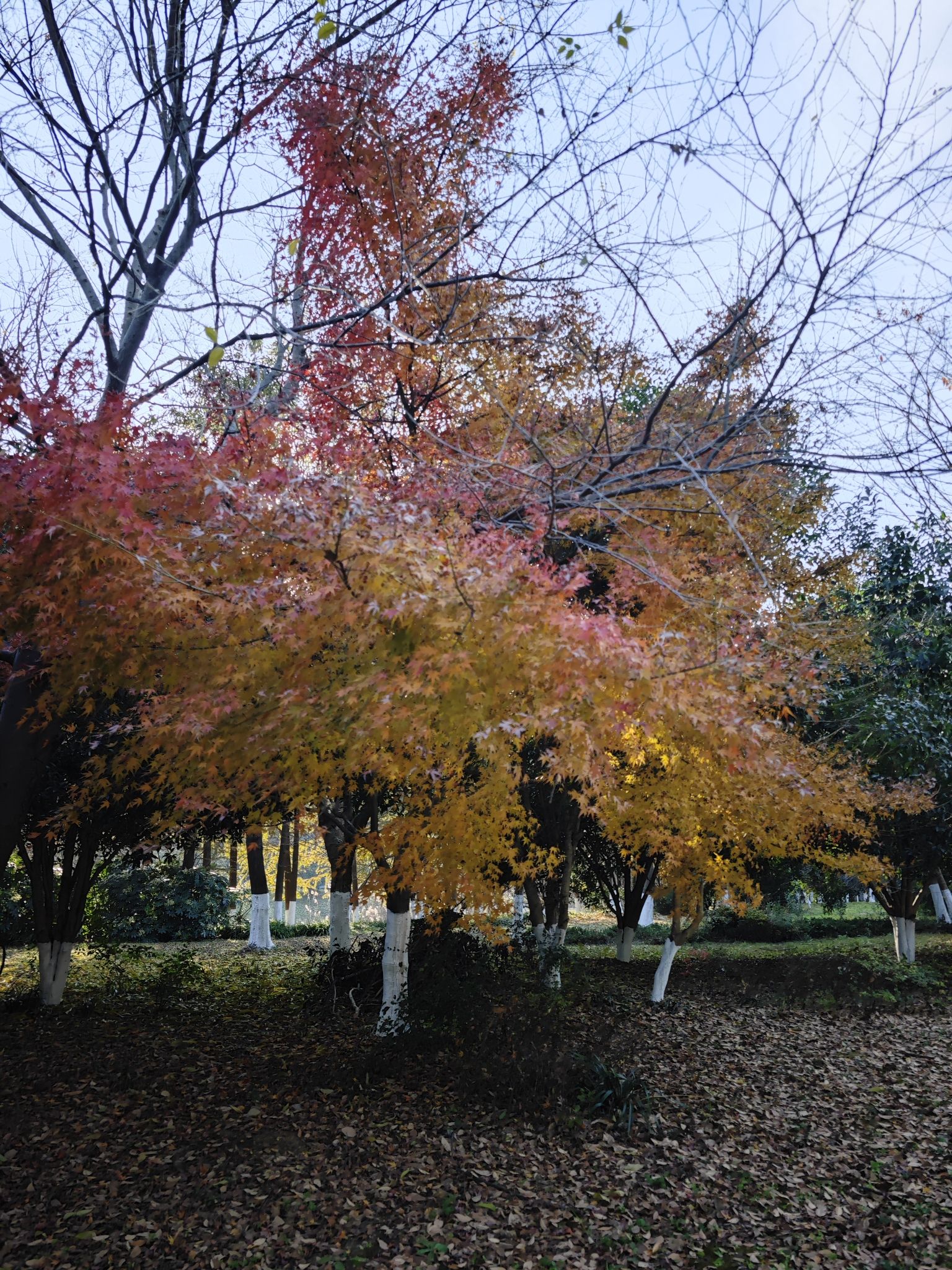 南山莲花洞景区旅行图片 2