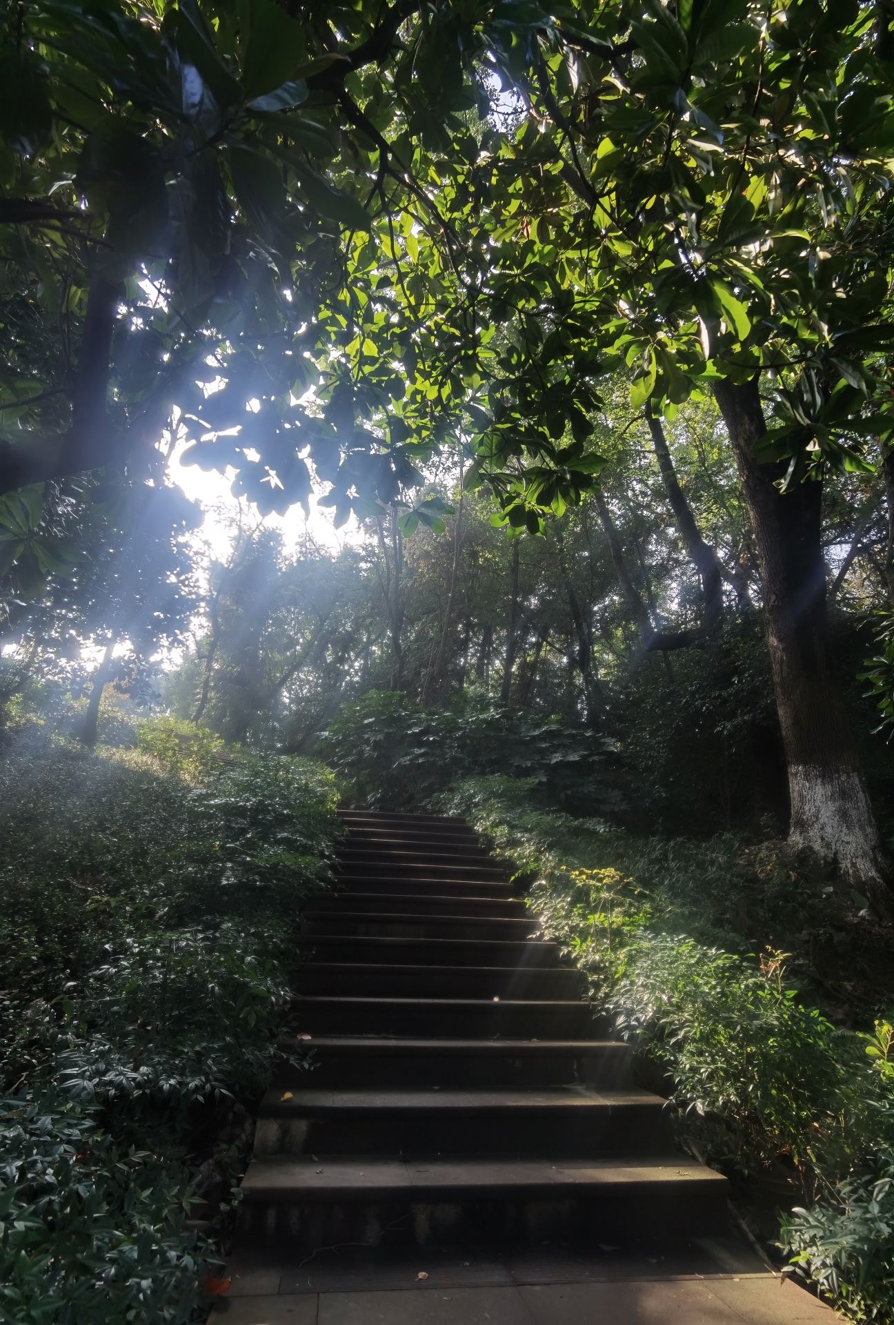 余姚玉皇山公园旅行图片 3