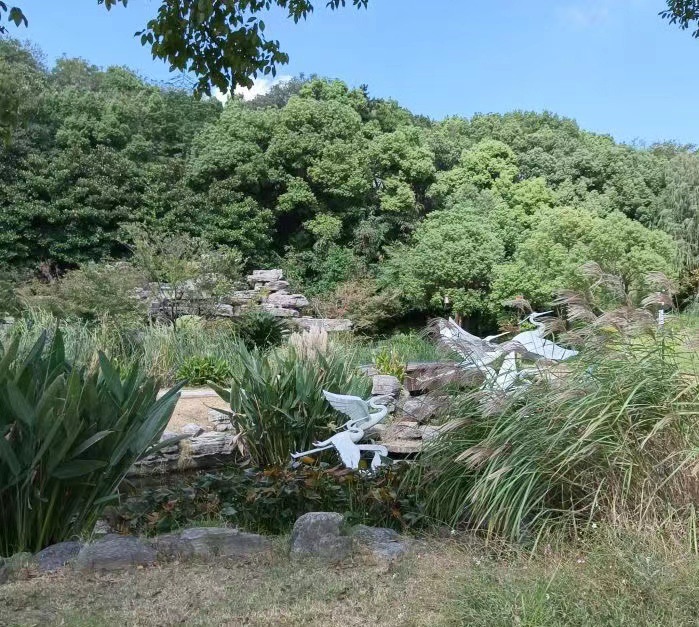 余姚玉皇山公园旅行图片 3