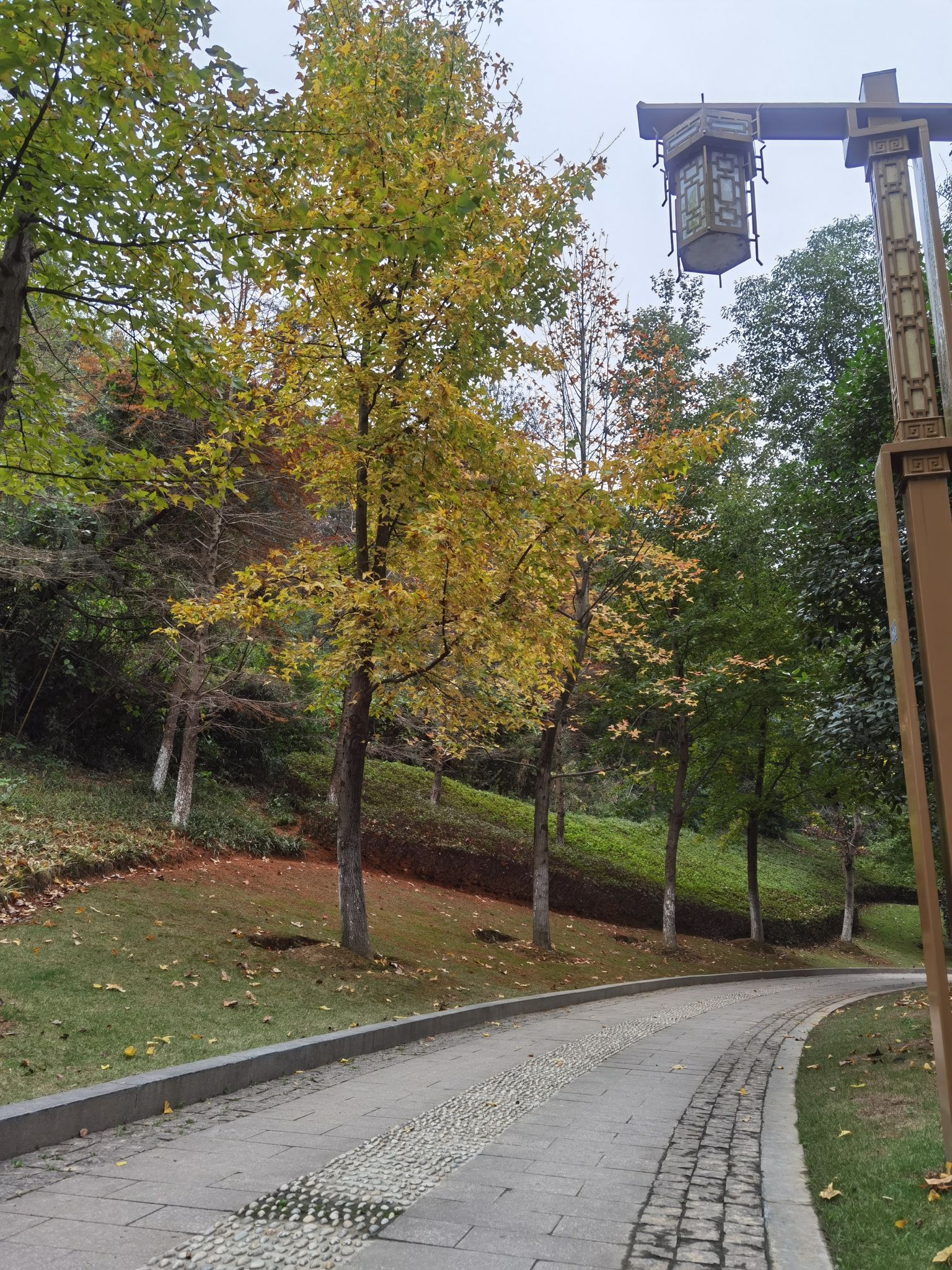 余姚玉皇山公园旅行图片 2