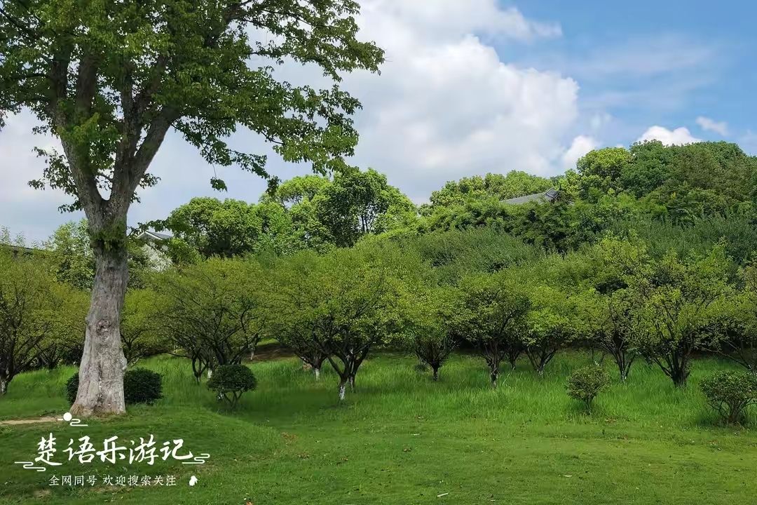 余姚玉皇山公园旅行图片 2
