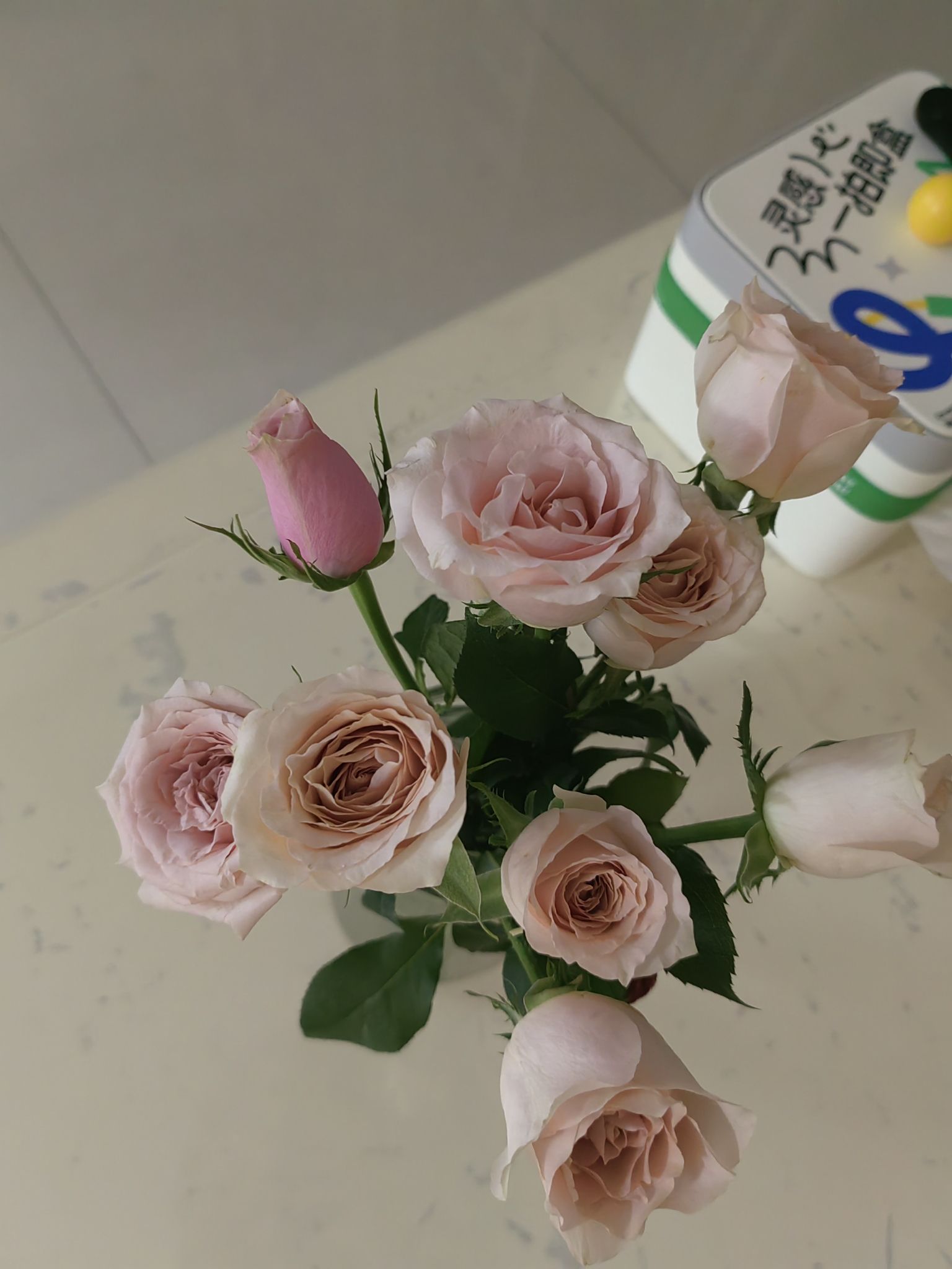 静观花木生态旅游区旅行图片 3