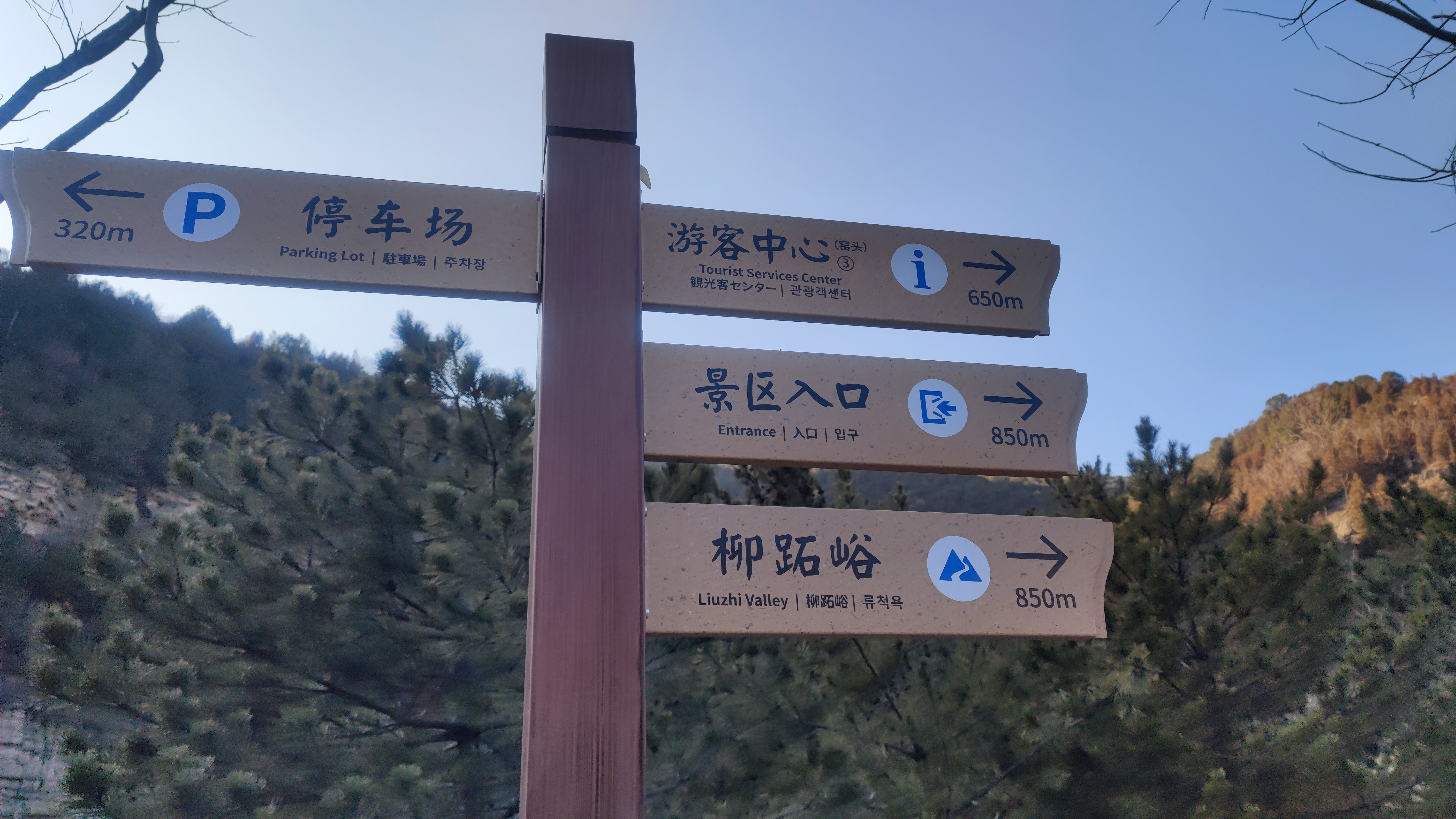柳跖峪旅行图片 1